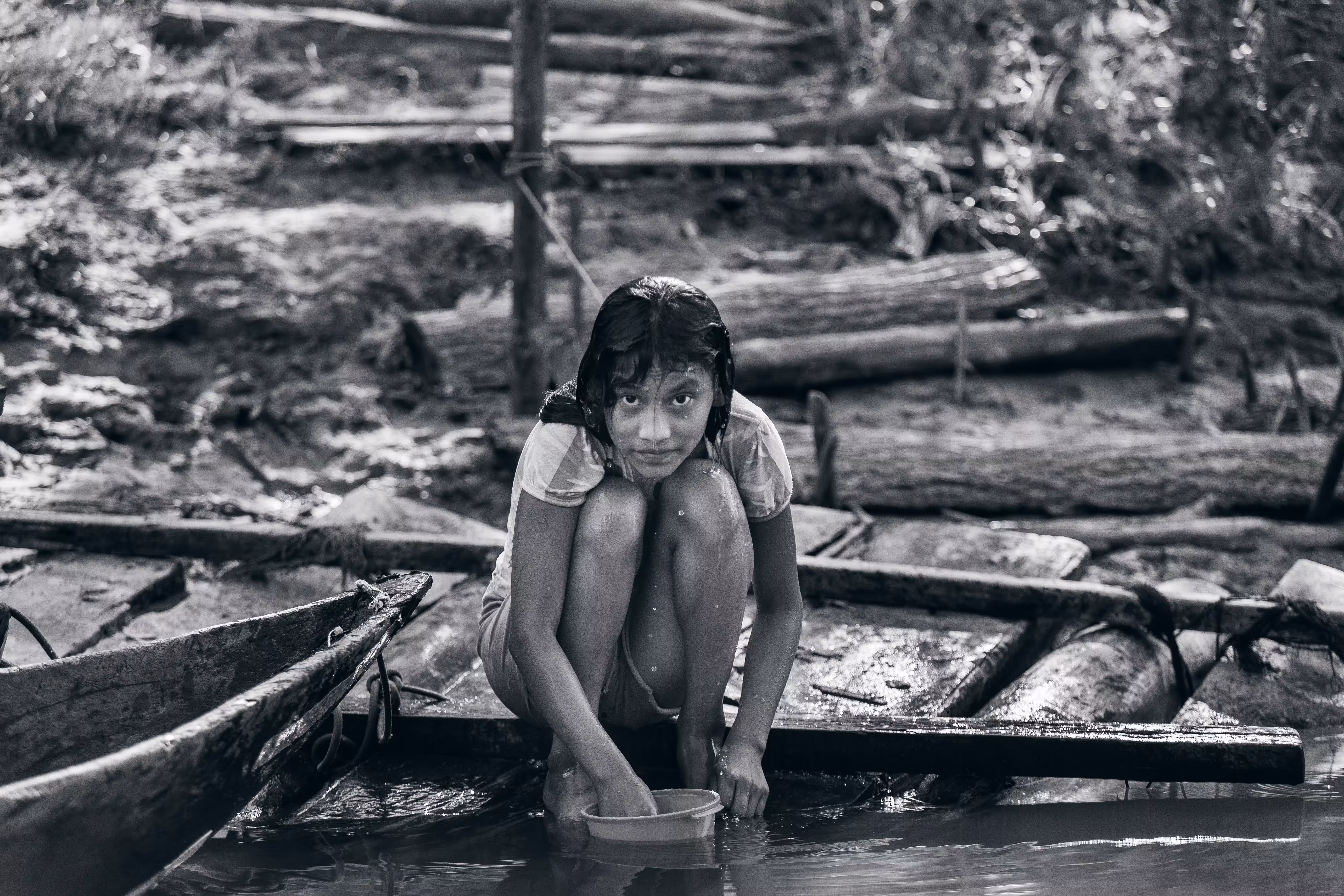 Amazonia 02