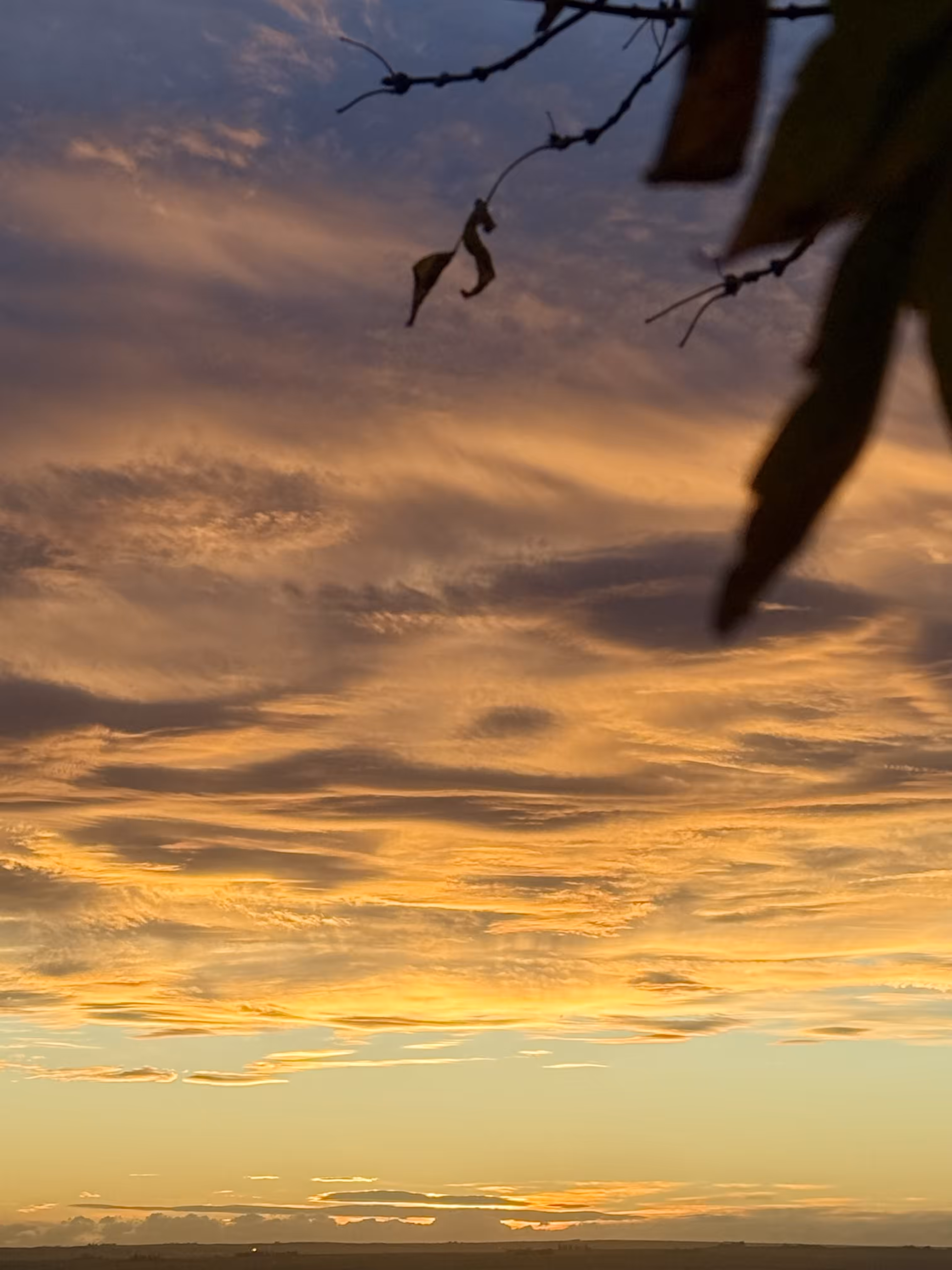 Photography: Whispering Sky