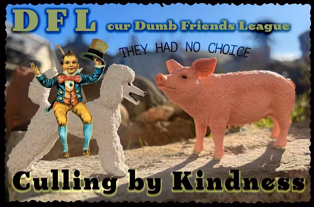 Our Dumb Friends play
