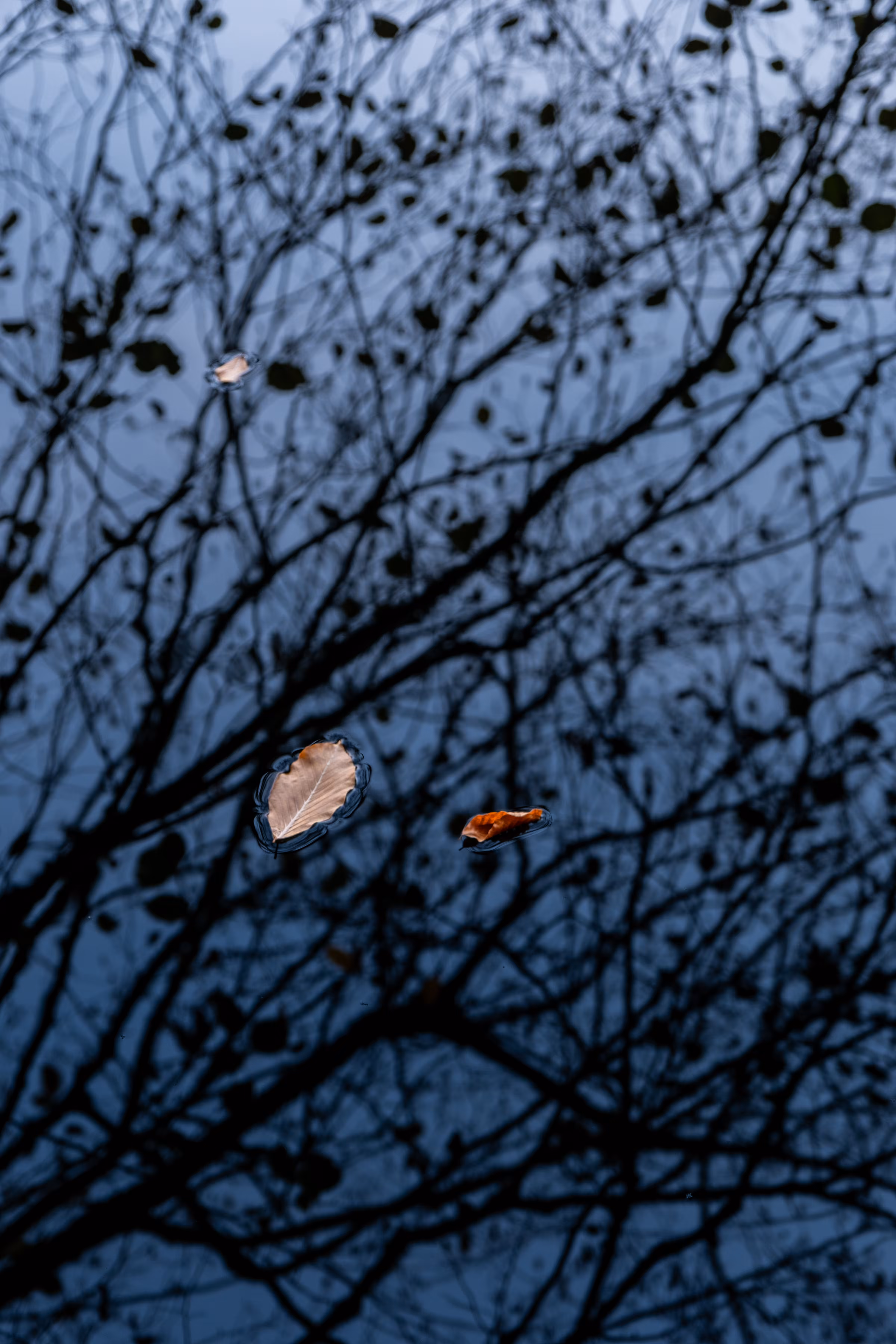 Traces in the water
