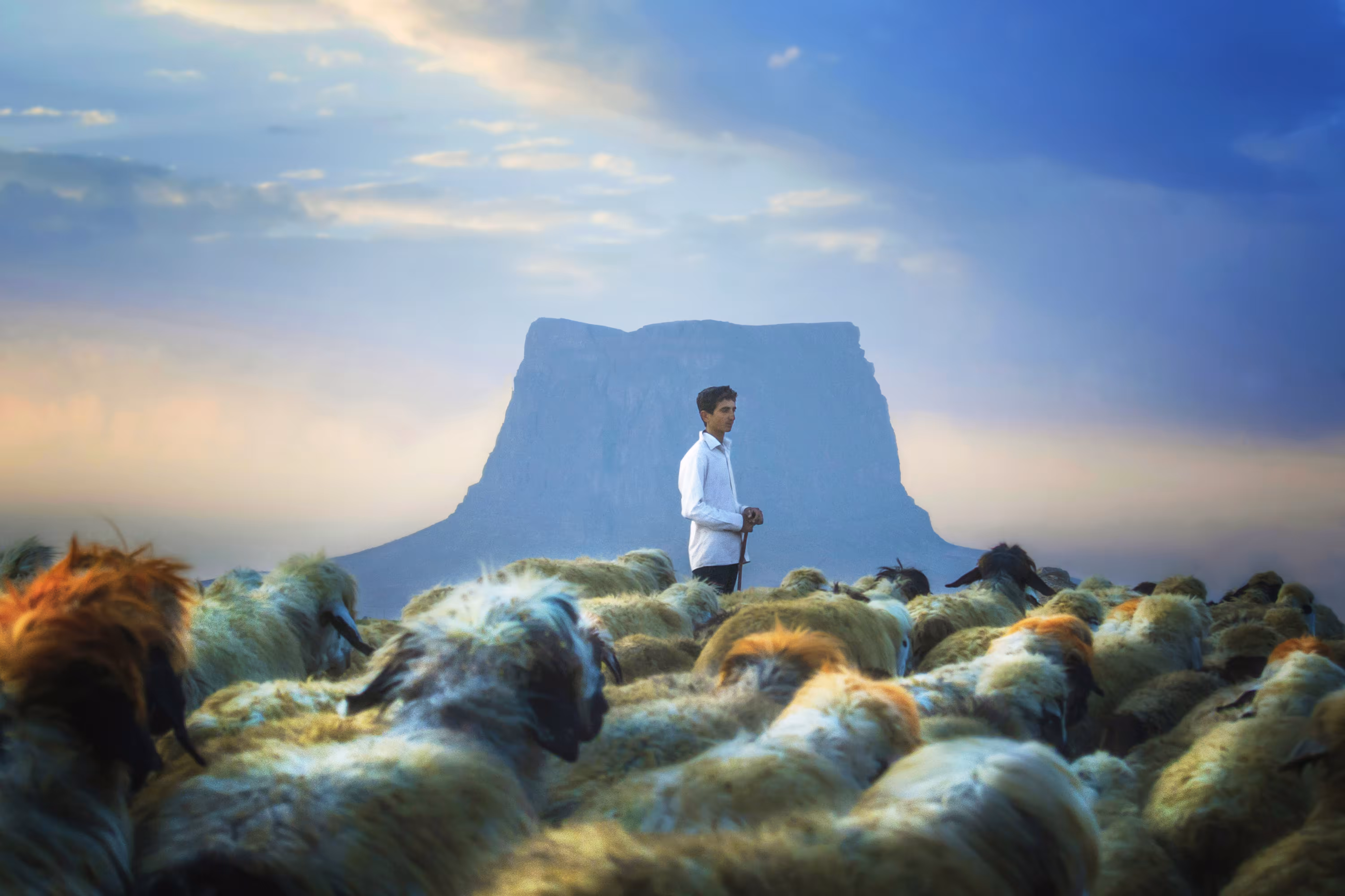 Shepherd boy