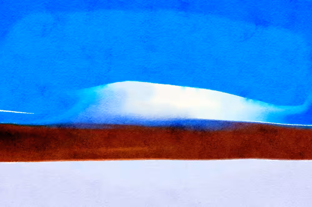 A Patch of White