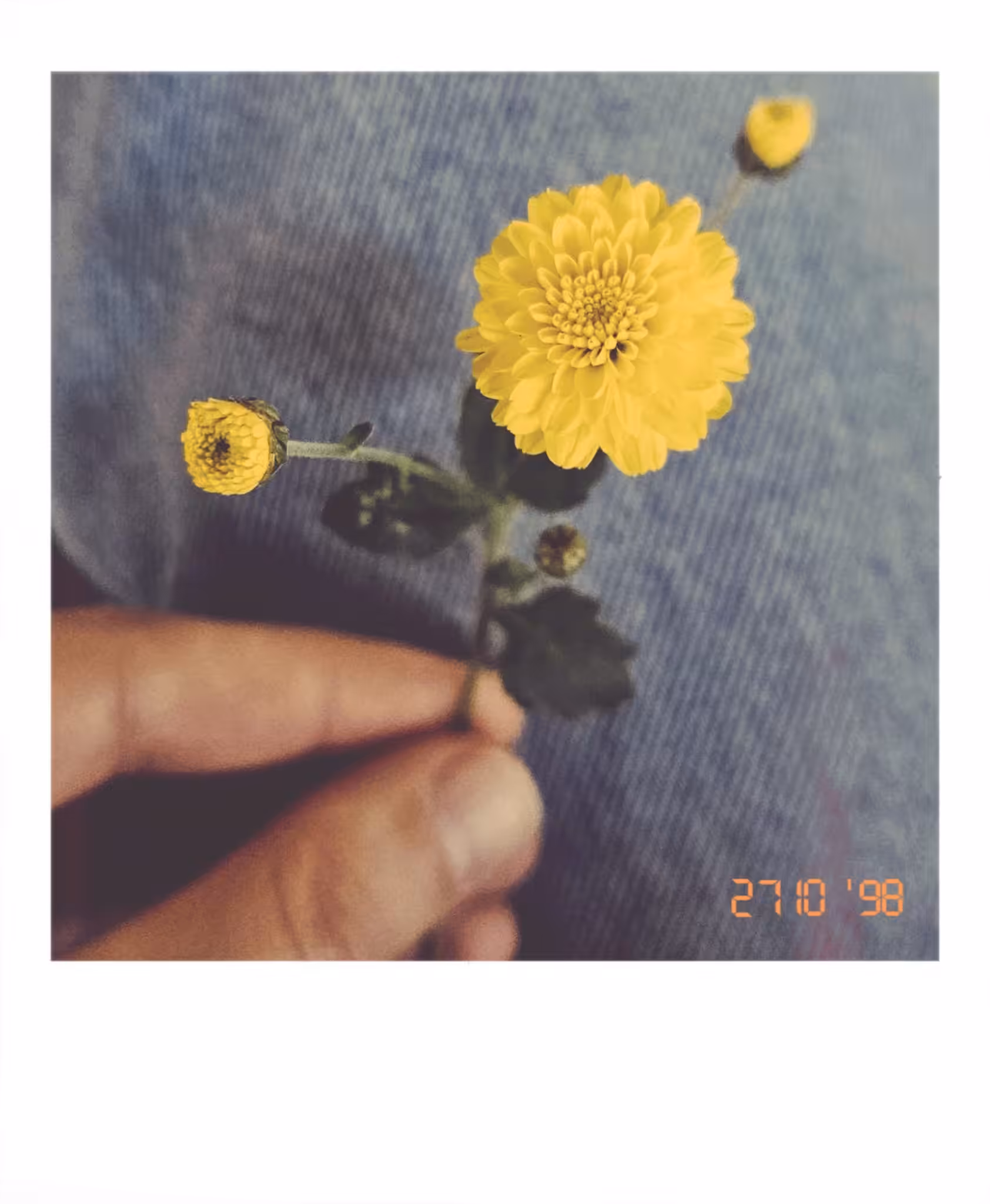 Autumn Soul