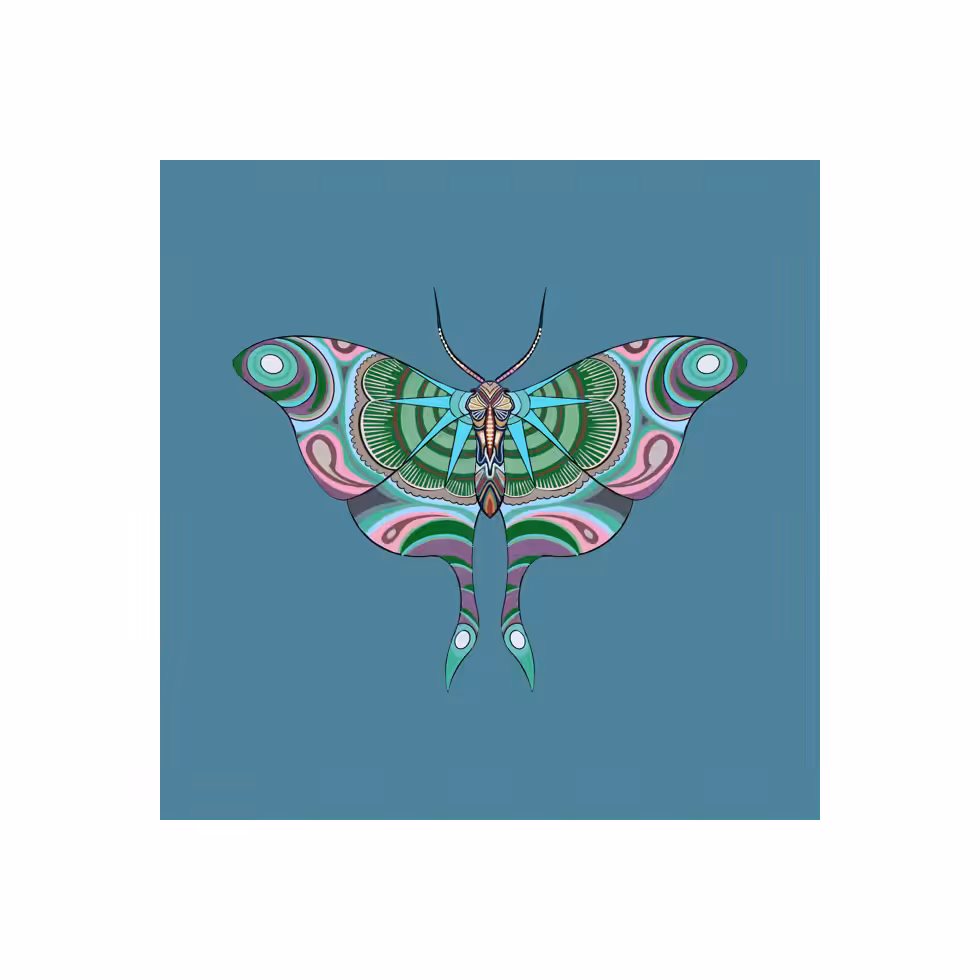 The Moth Experiment  #32
