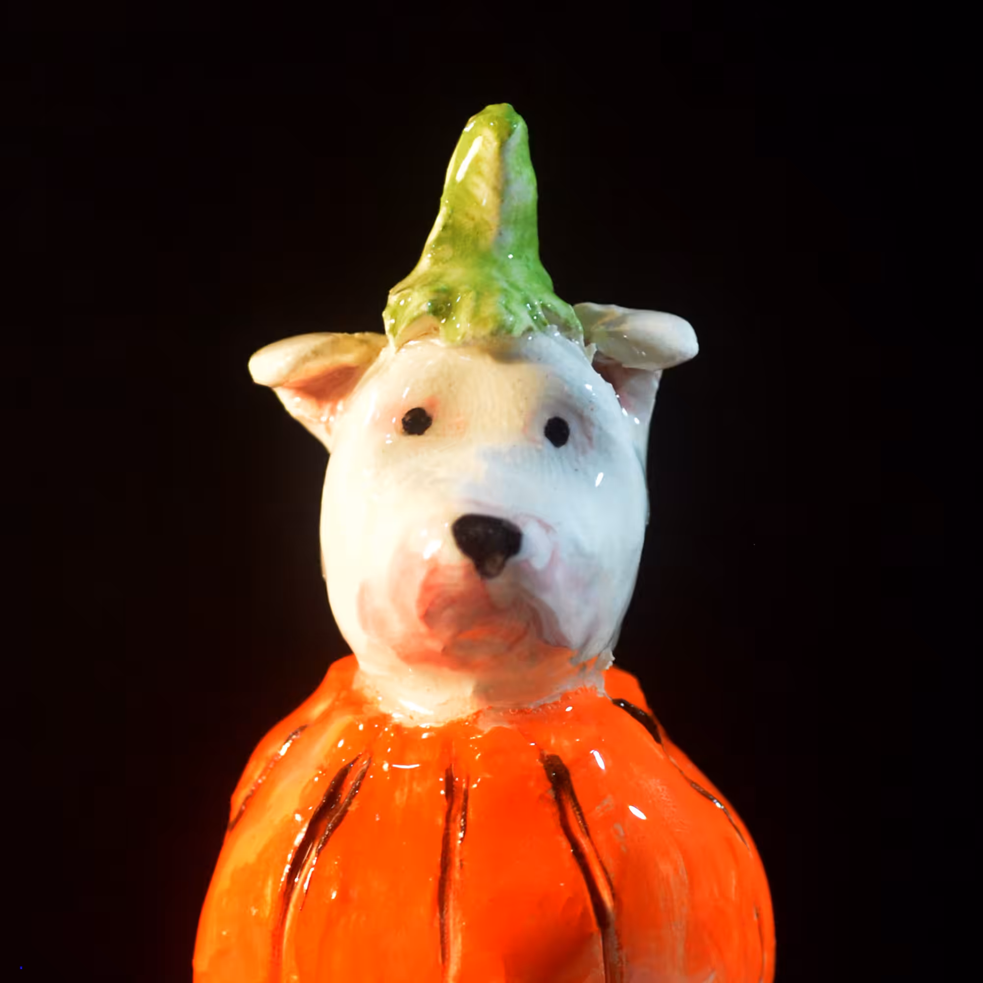 pfpup#0056