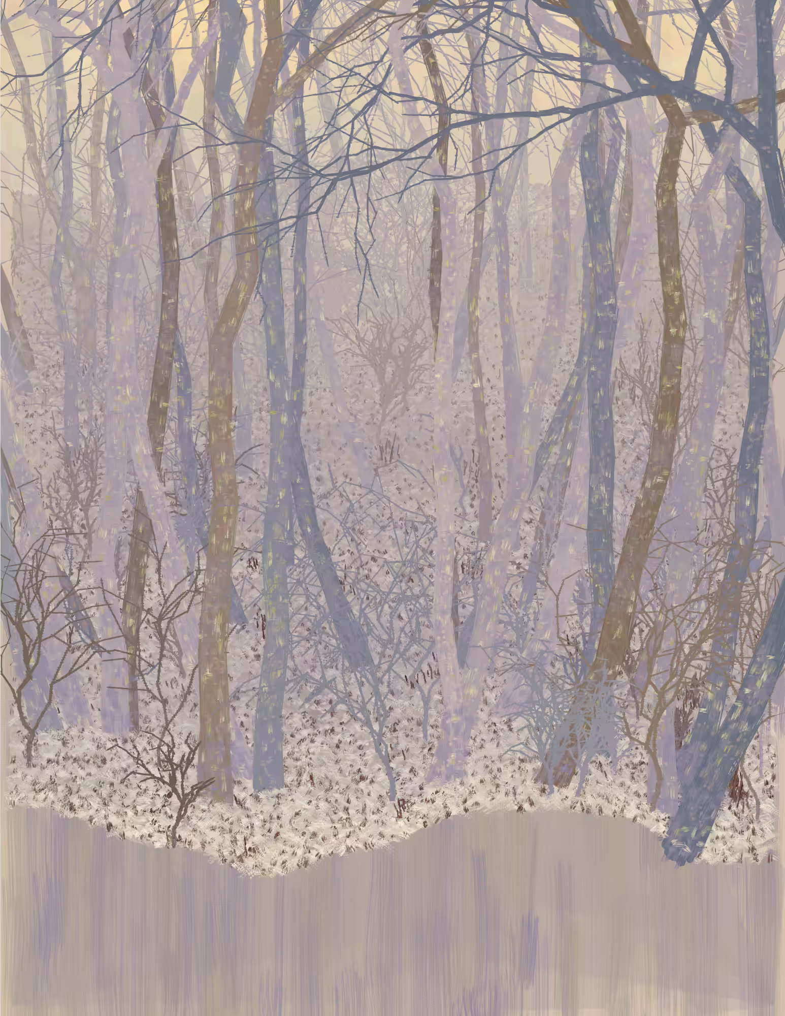 Deep Forest #262