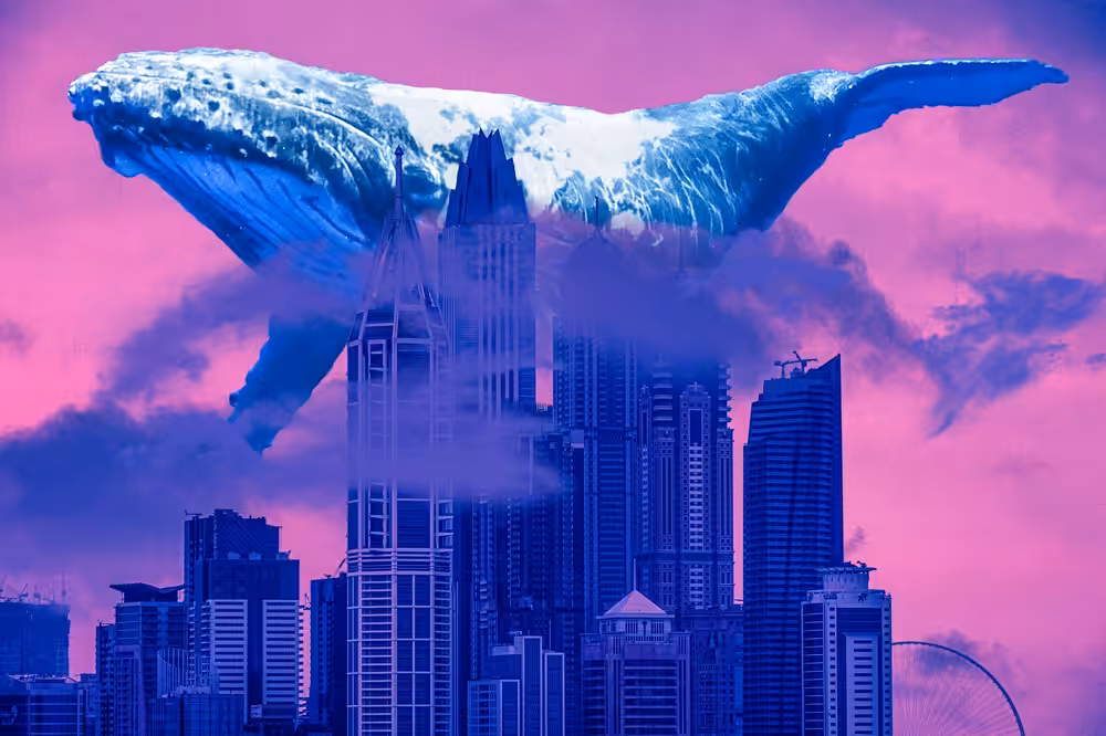 Whale City