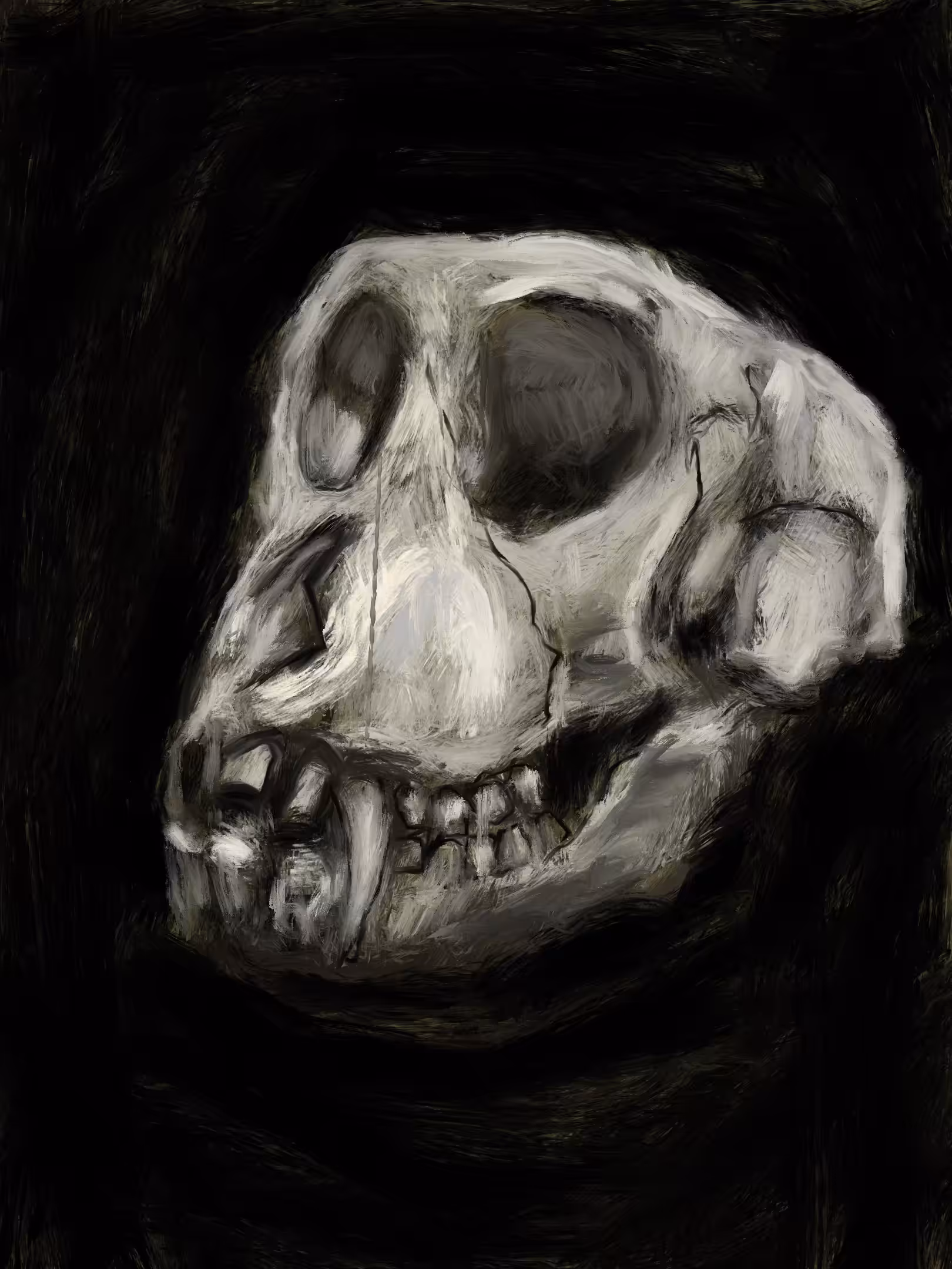 Skull