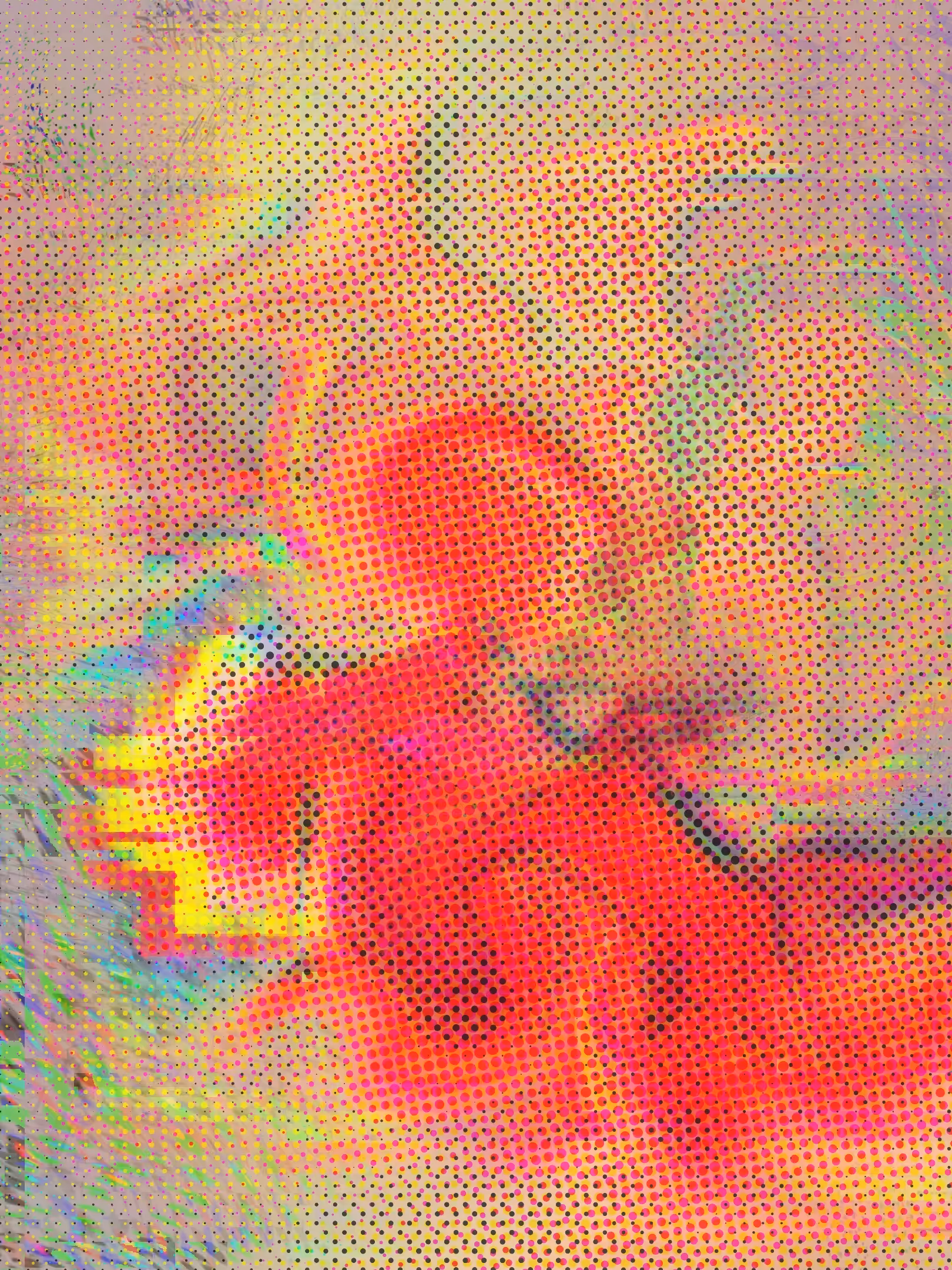 Incubation