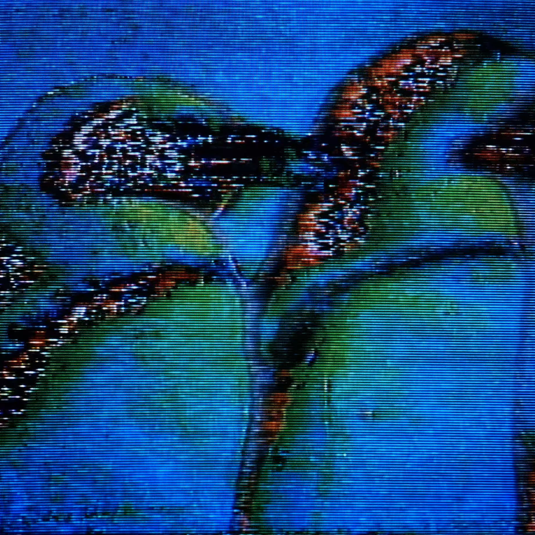 vhs dream 0186