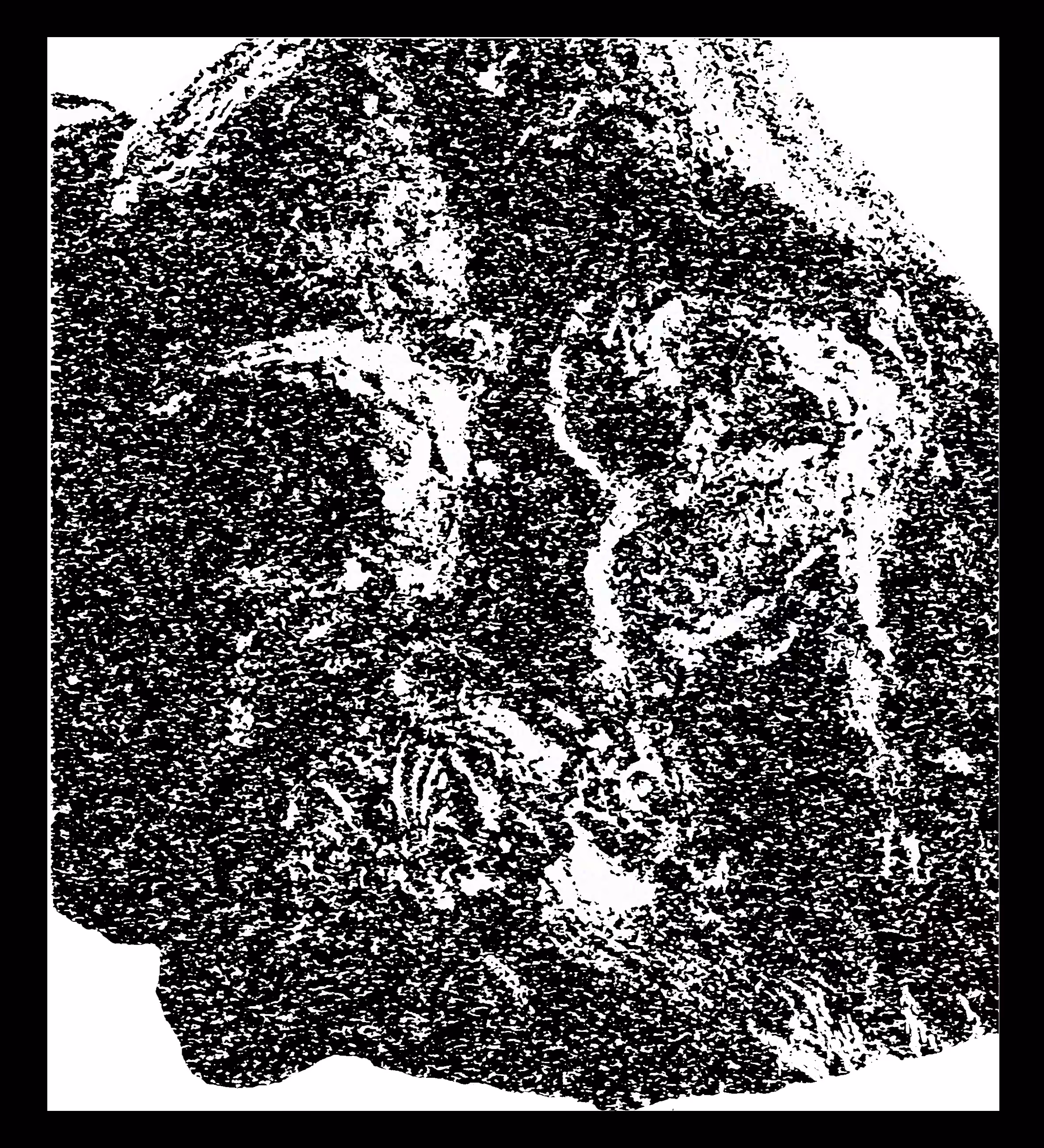 Pigface