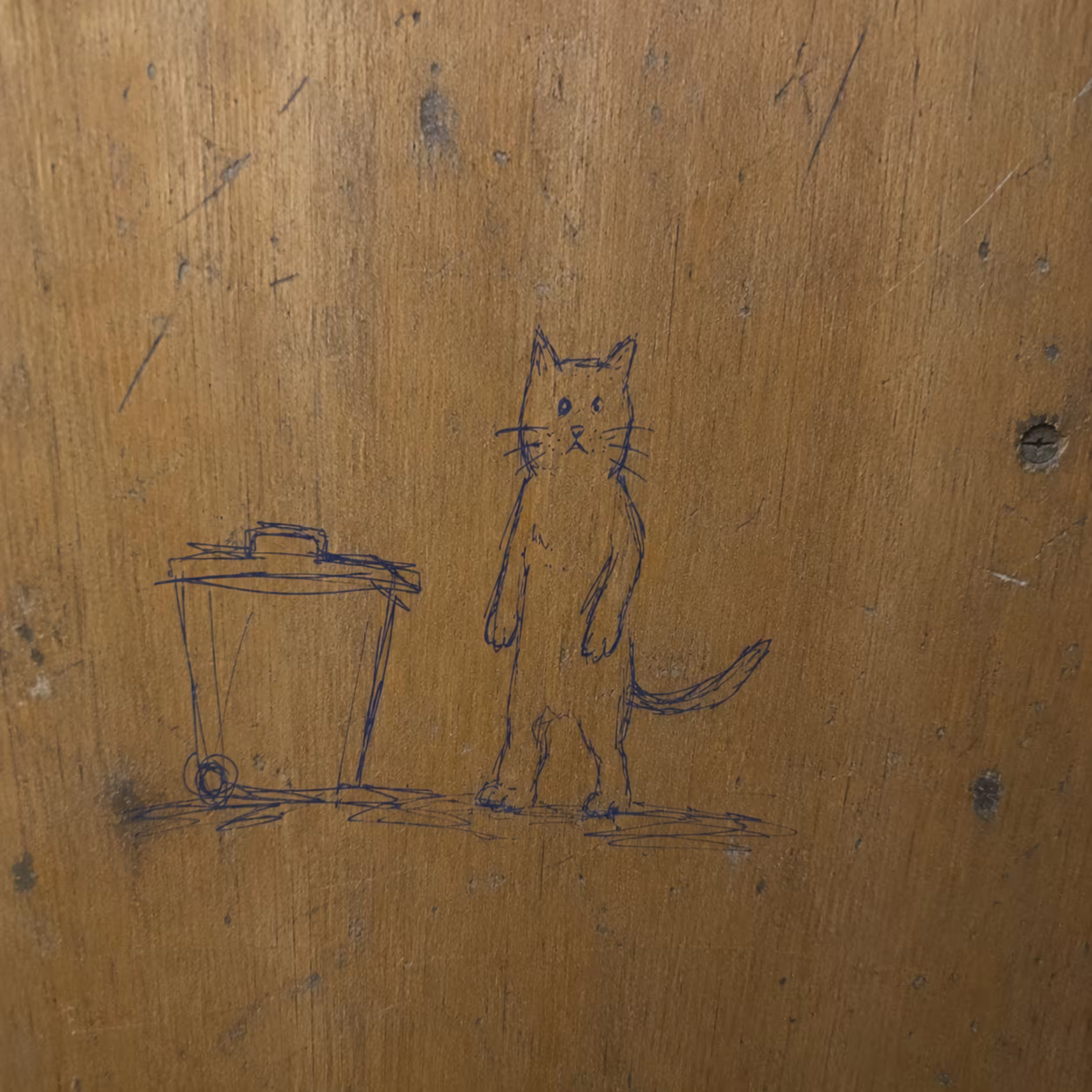 Cat Observed Standing Upright™