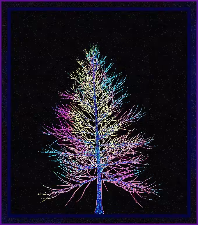 Colour Tree 