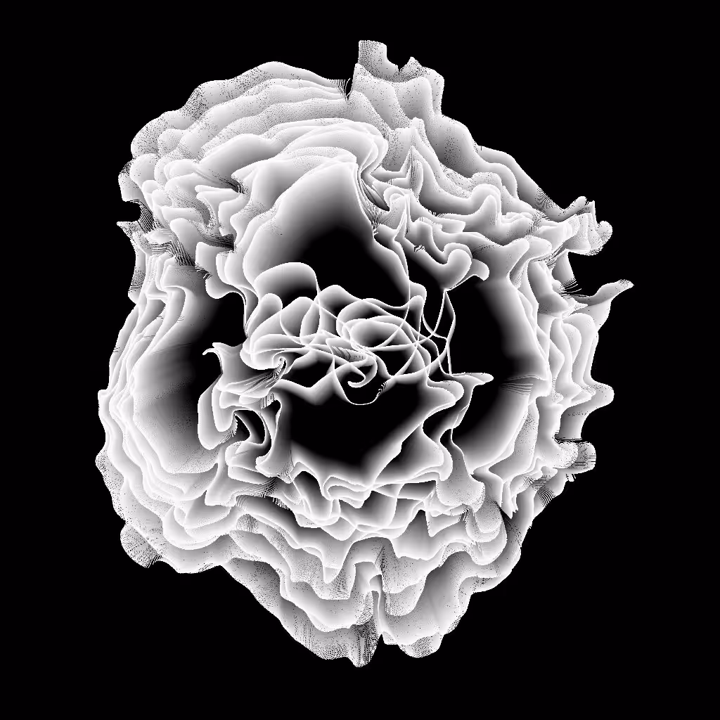 Flrowser 1 [4k frames]
