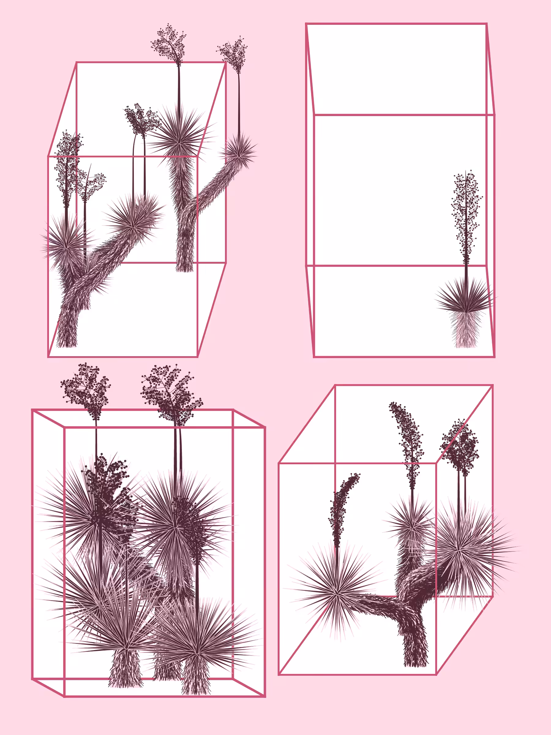 Marfa Yucca #84