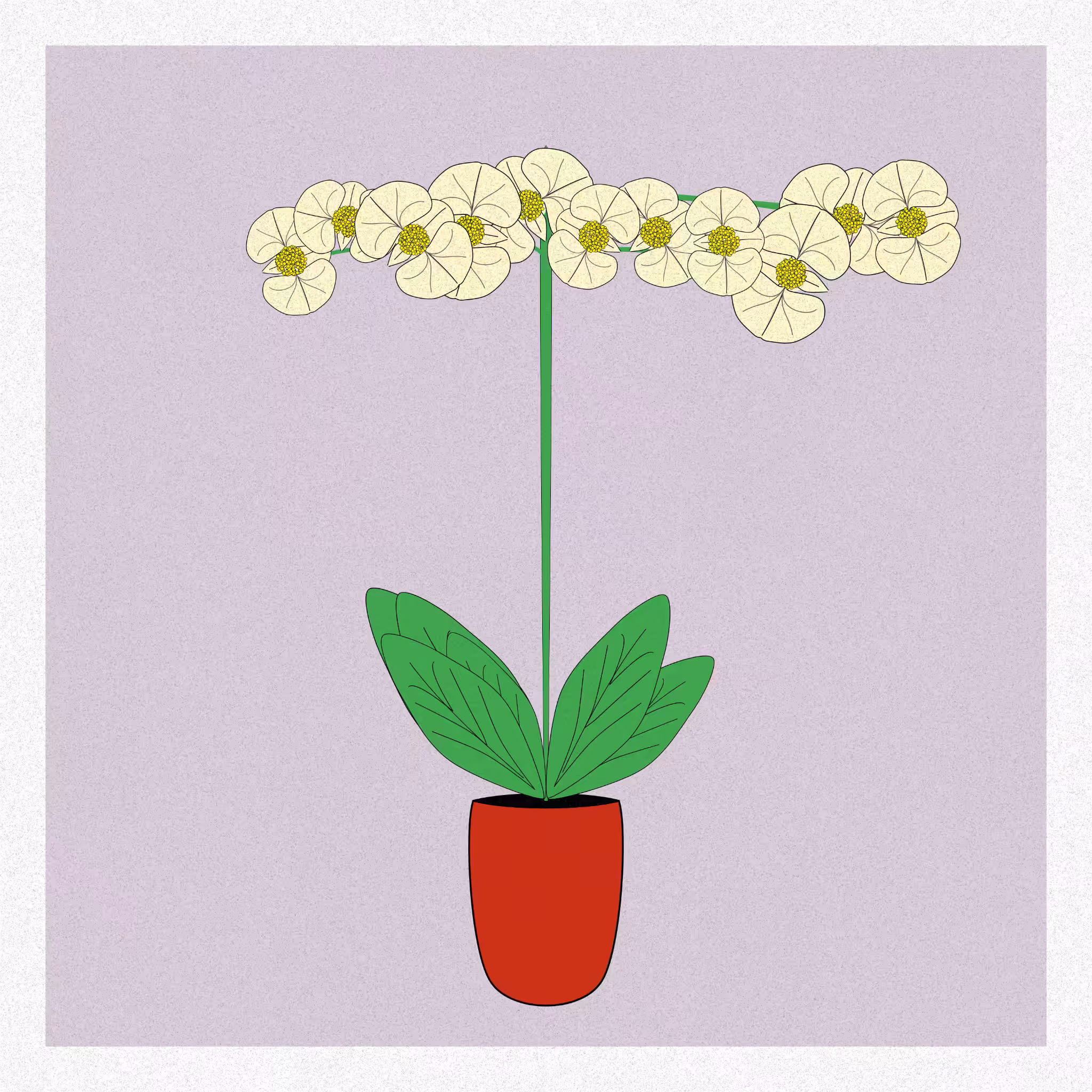 Flowers #236