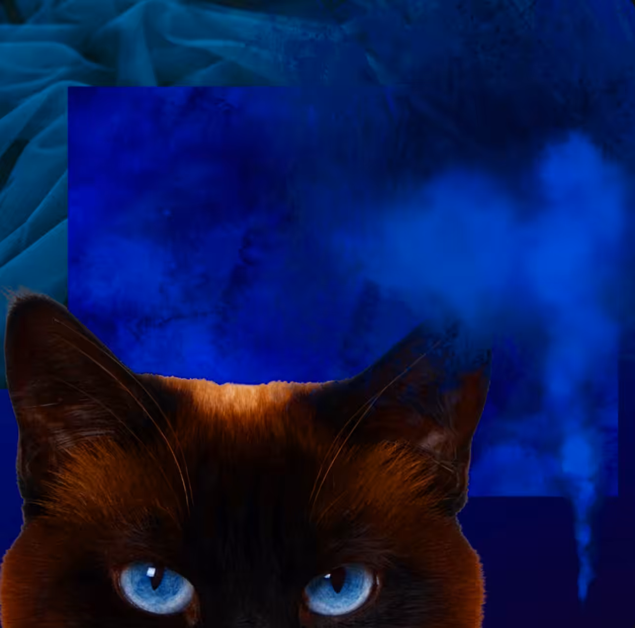CATEYES