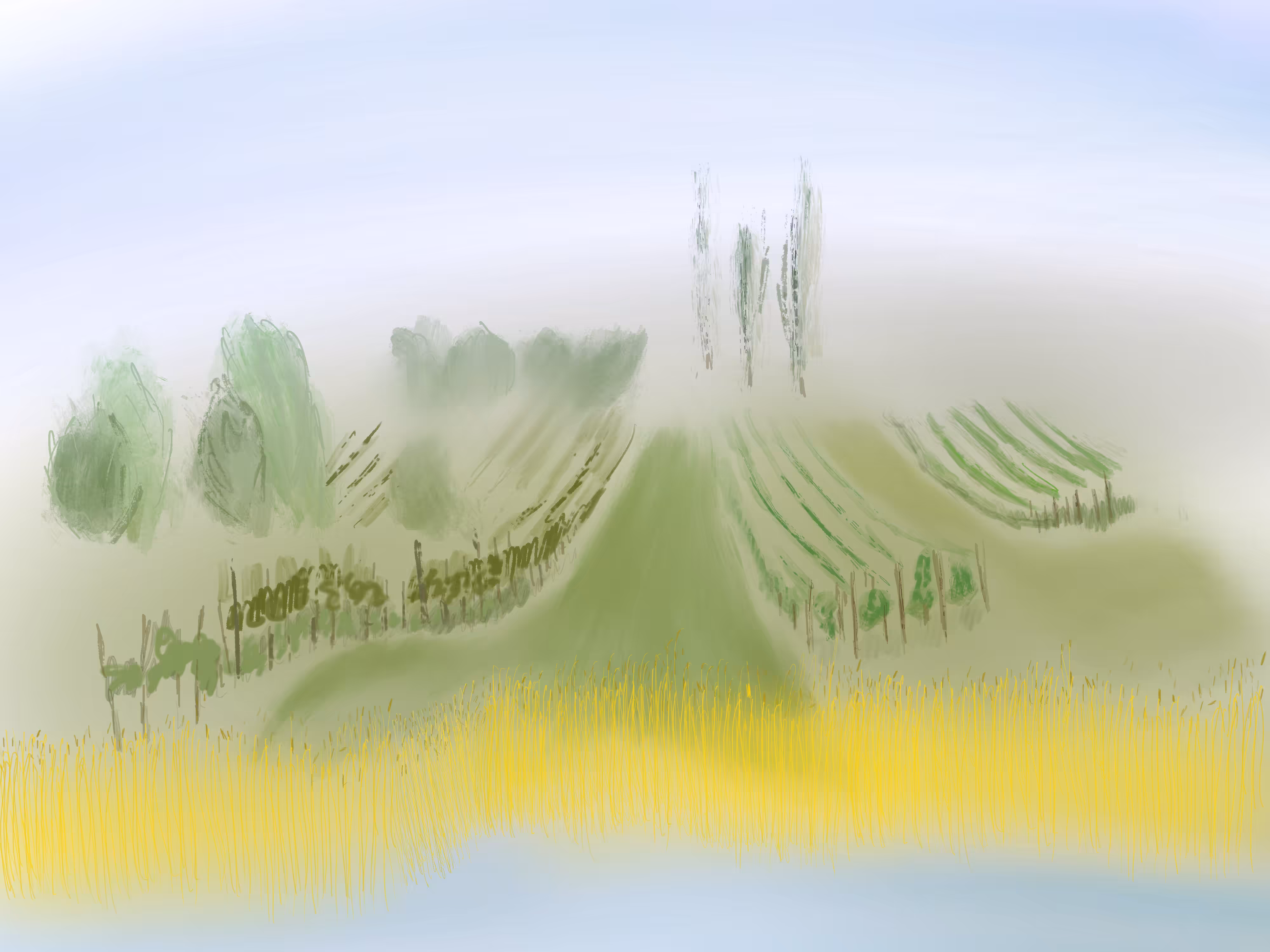 Vineyard
