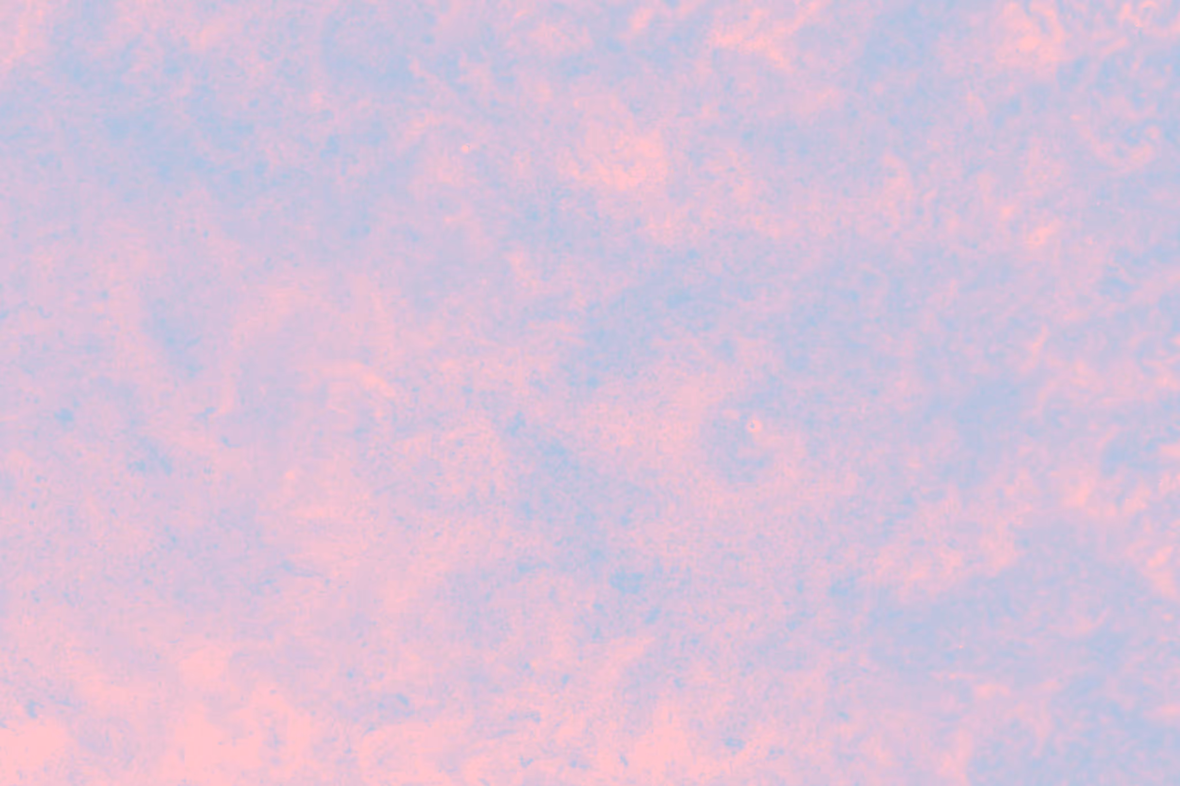 Four_Elements-Air_23