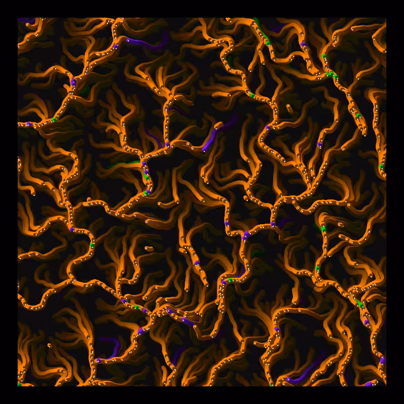 Worms Migration #4