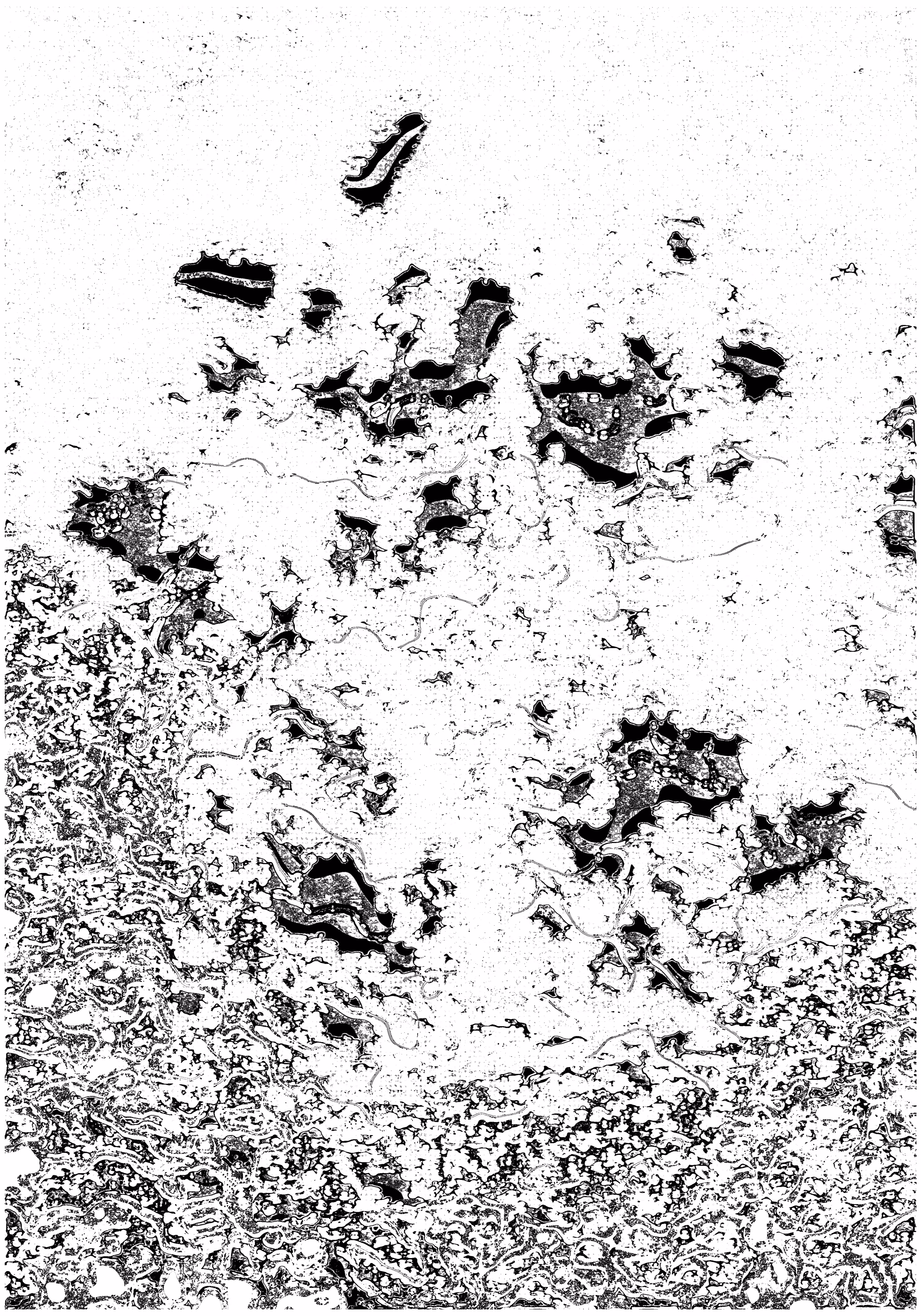 Apotheosis