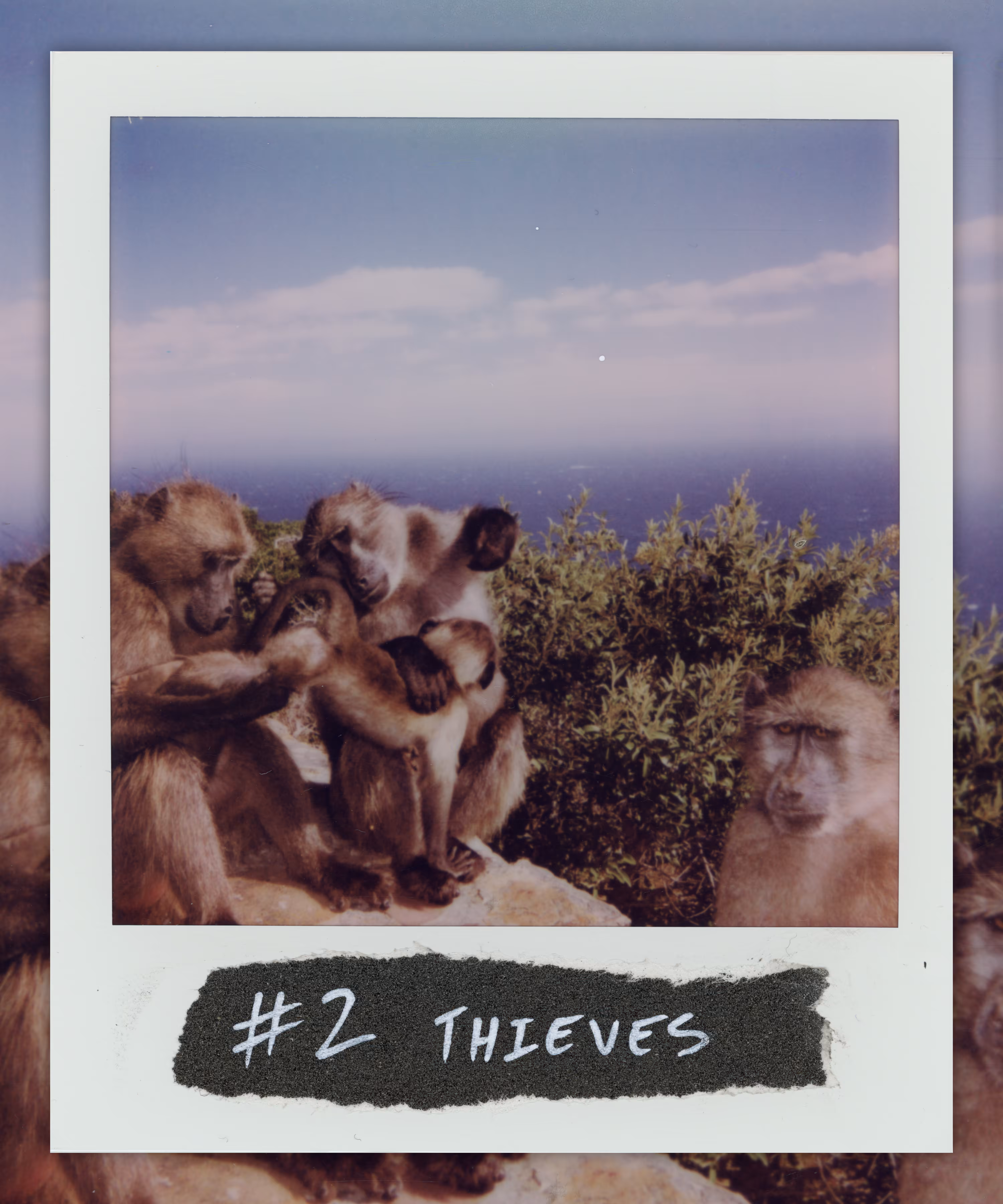 99 Originals: #2 THIEVES