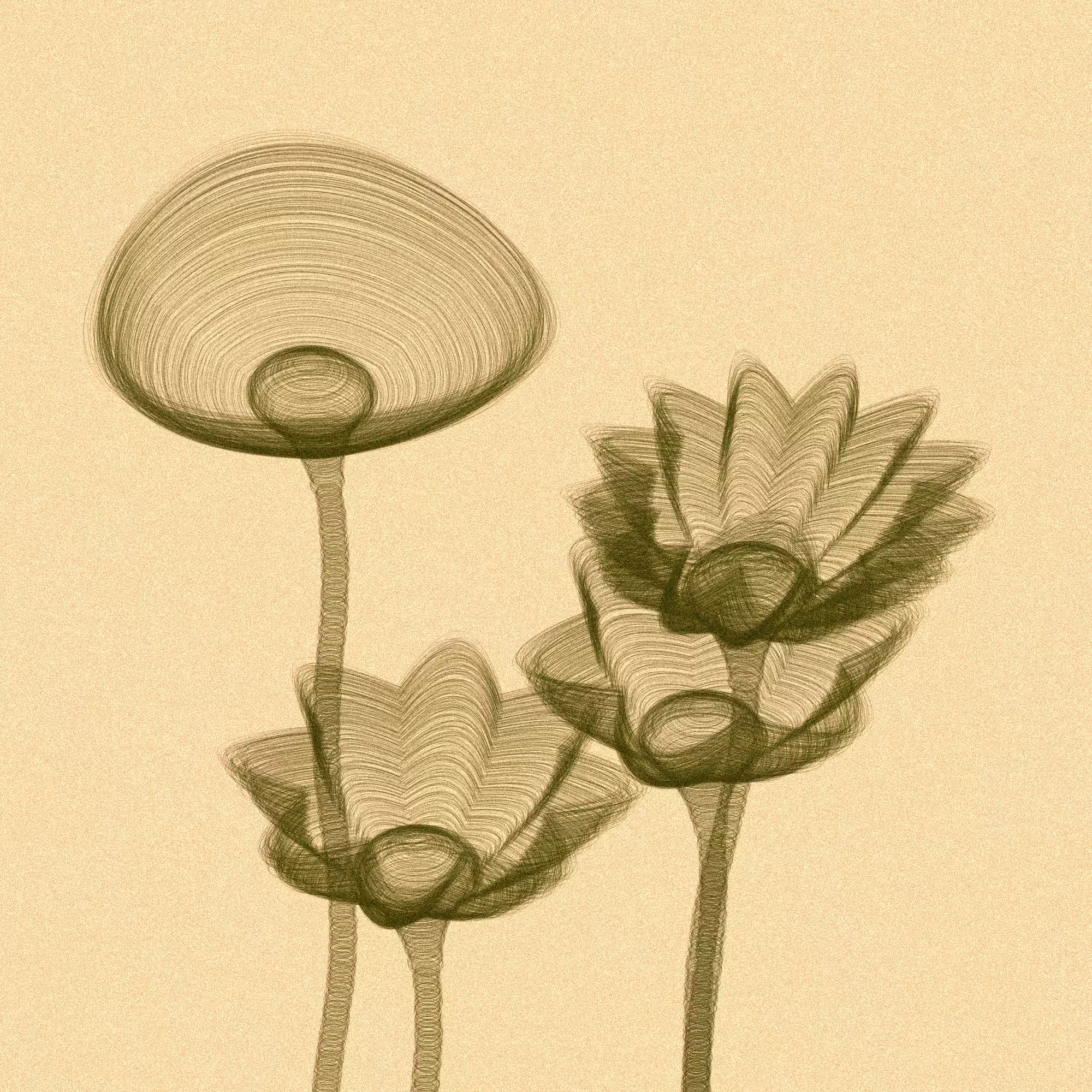 Code Flowers #96