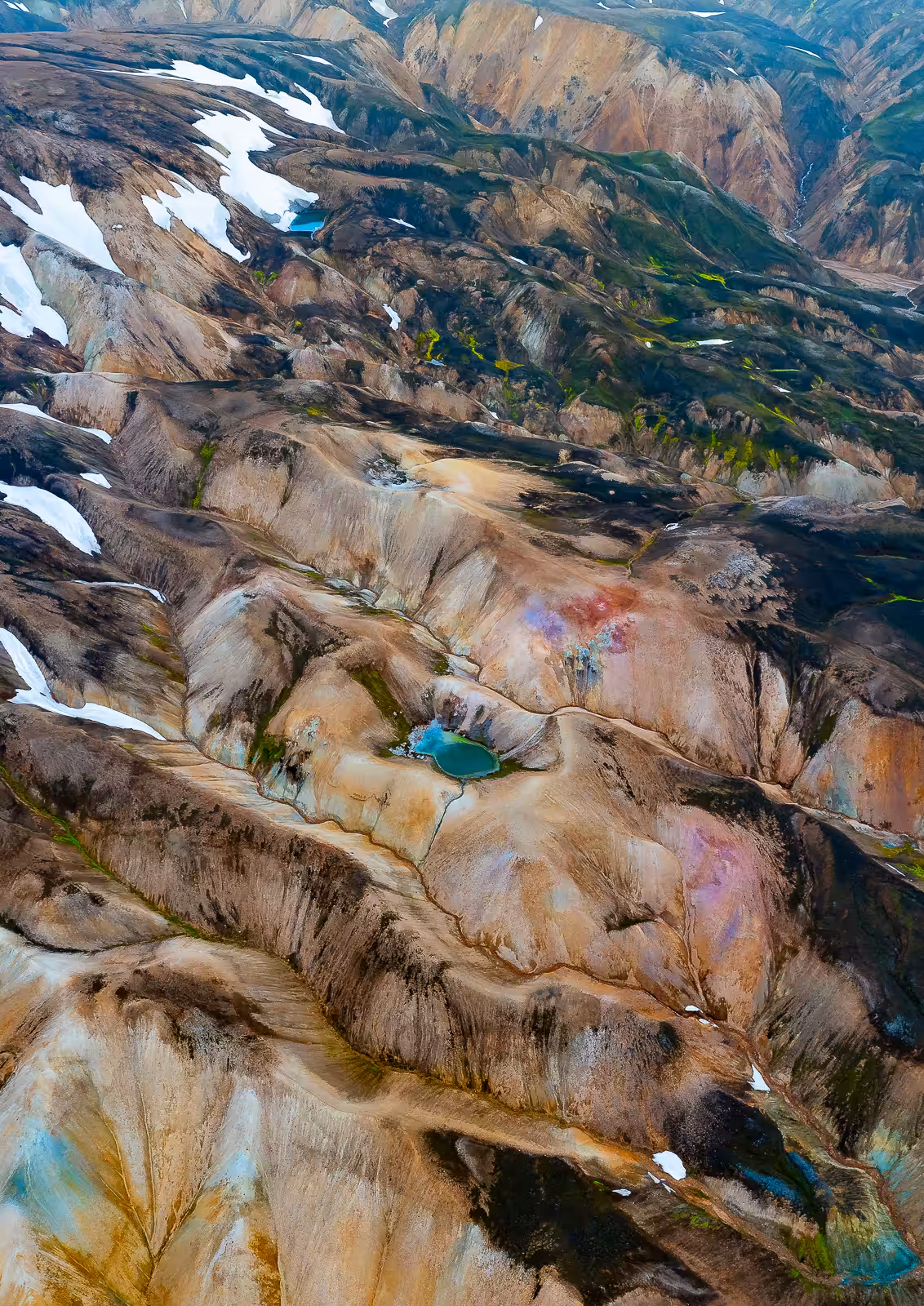 3 // EVOLVING LANDSCAPE