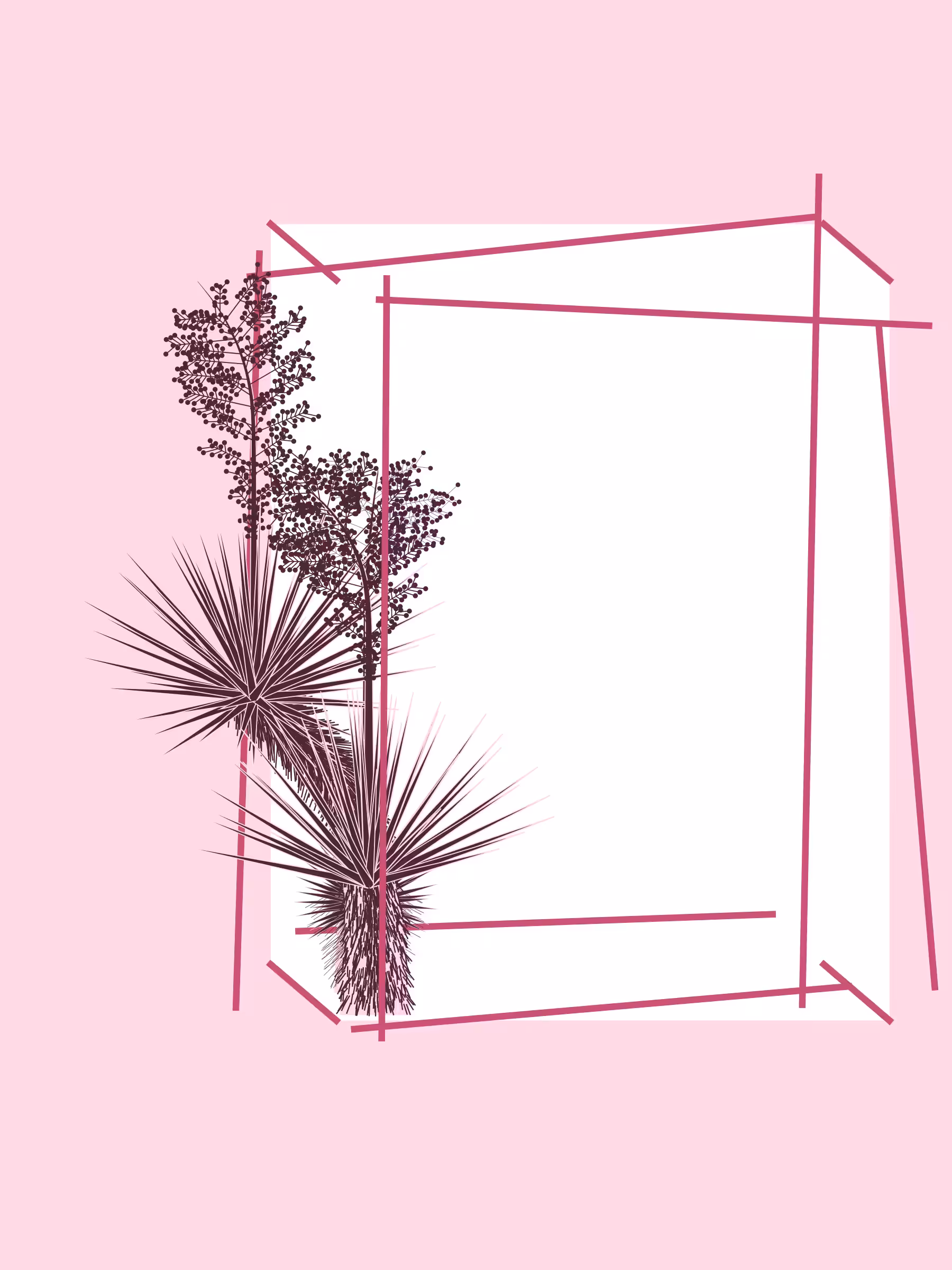Marfa Yucca #191