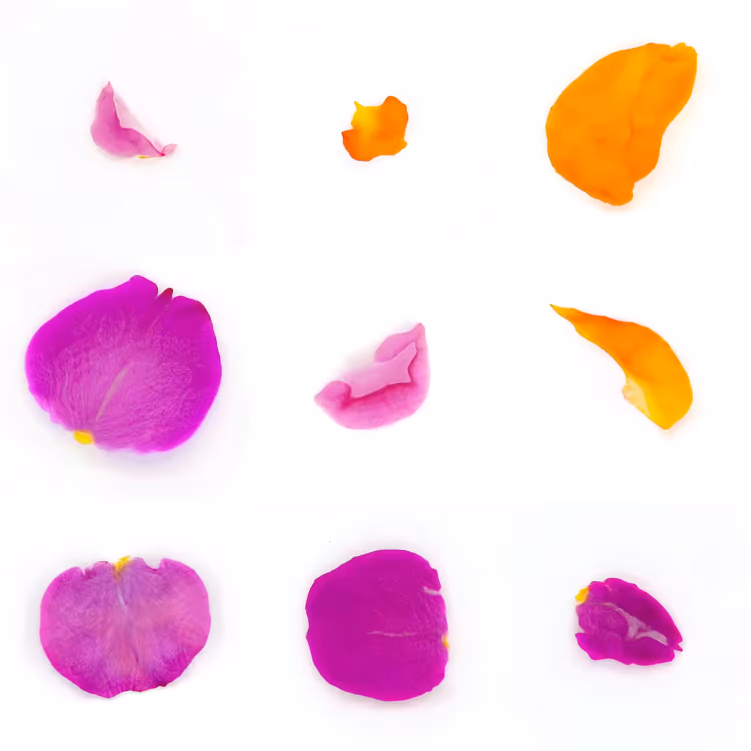 Infinite Petals 3x3#3336