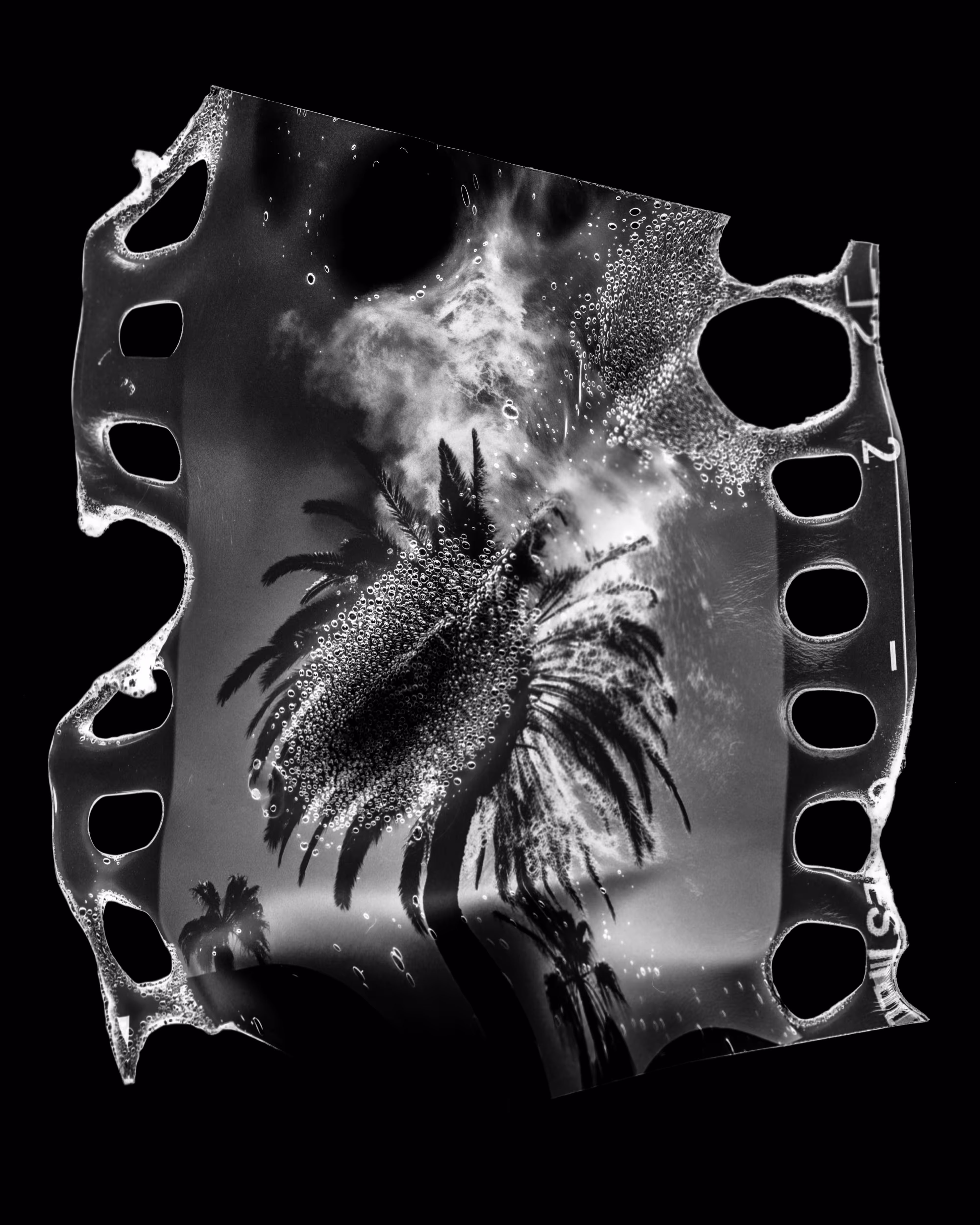 KILL CITY 4