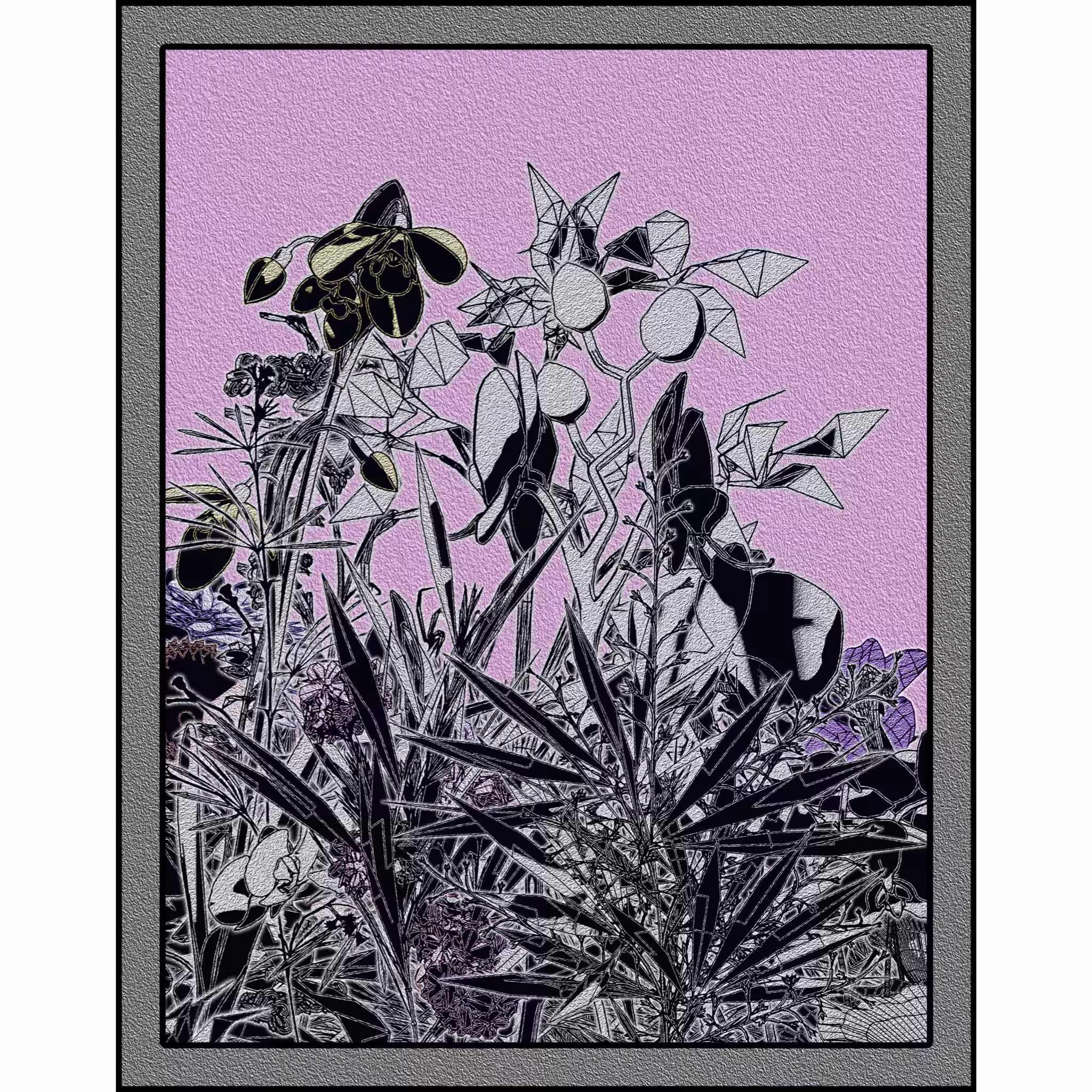 Flower View #115