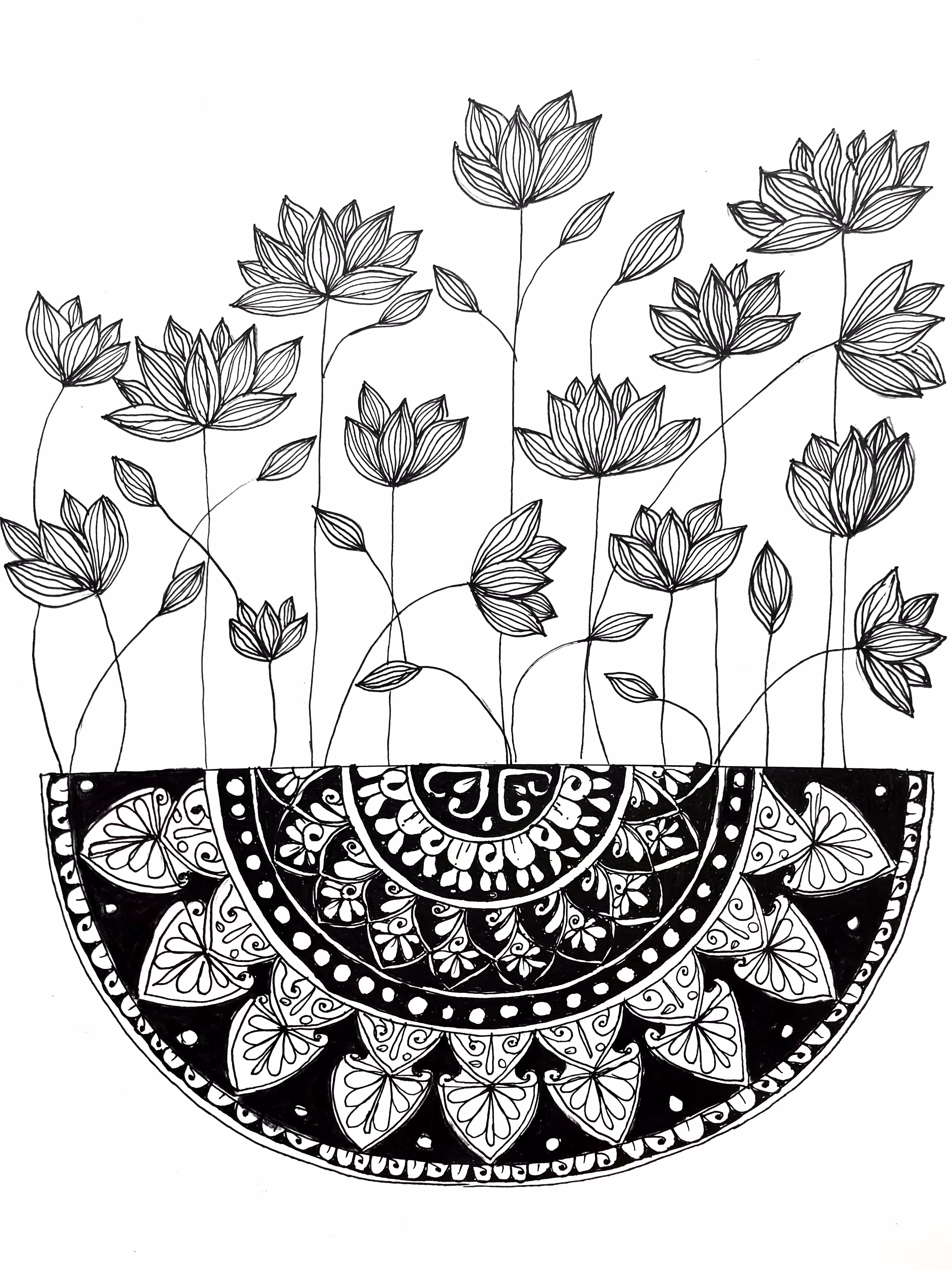 Eternal Flowers 
