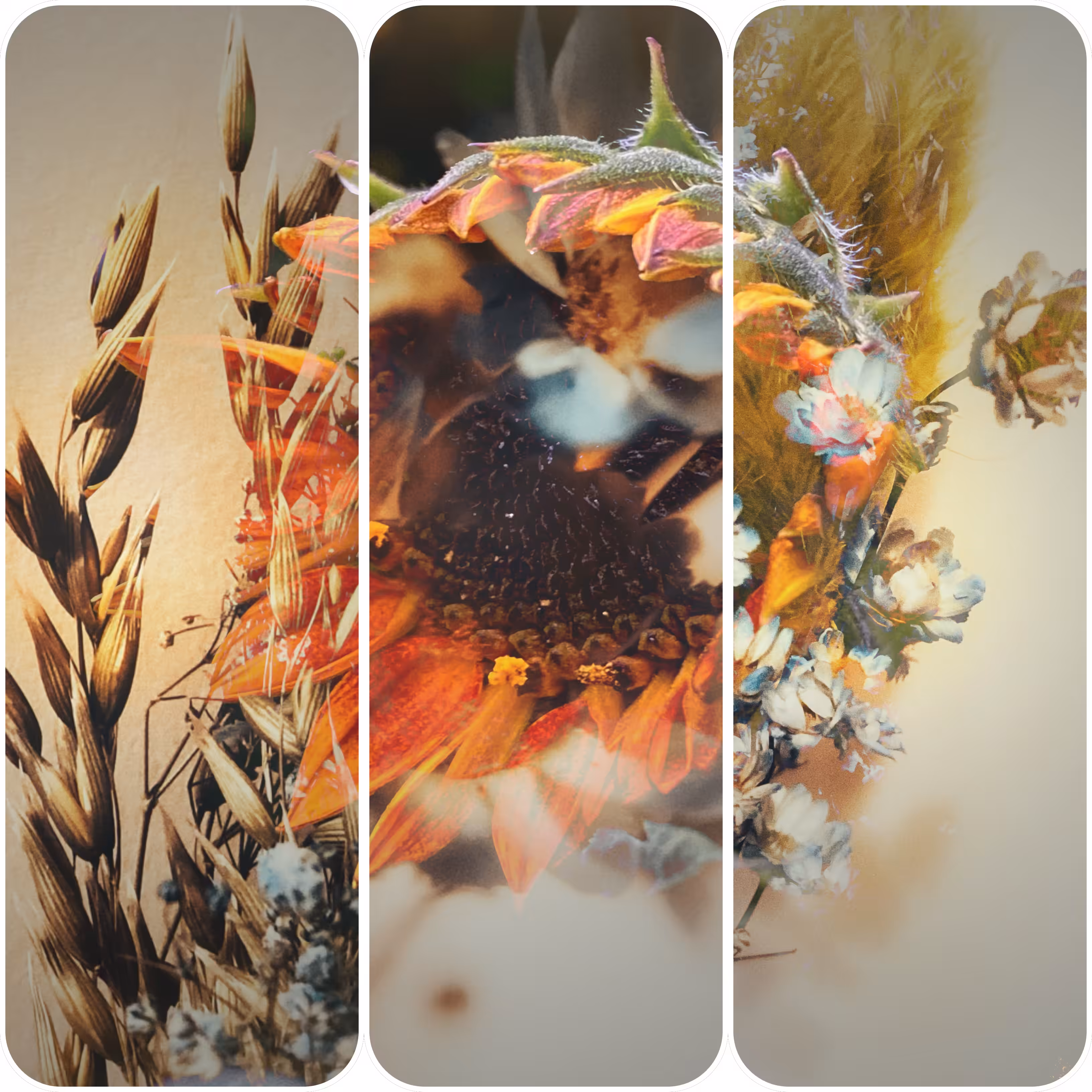 🌸Floral Paradise: Sunflower 🌻