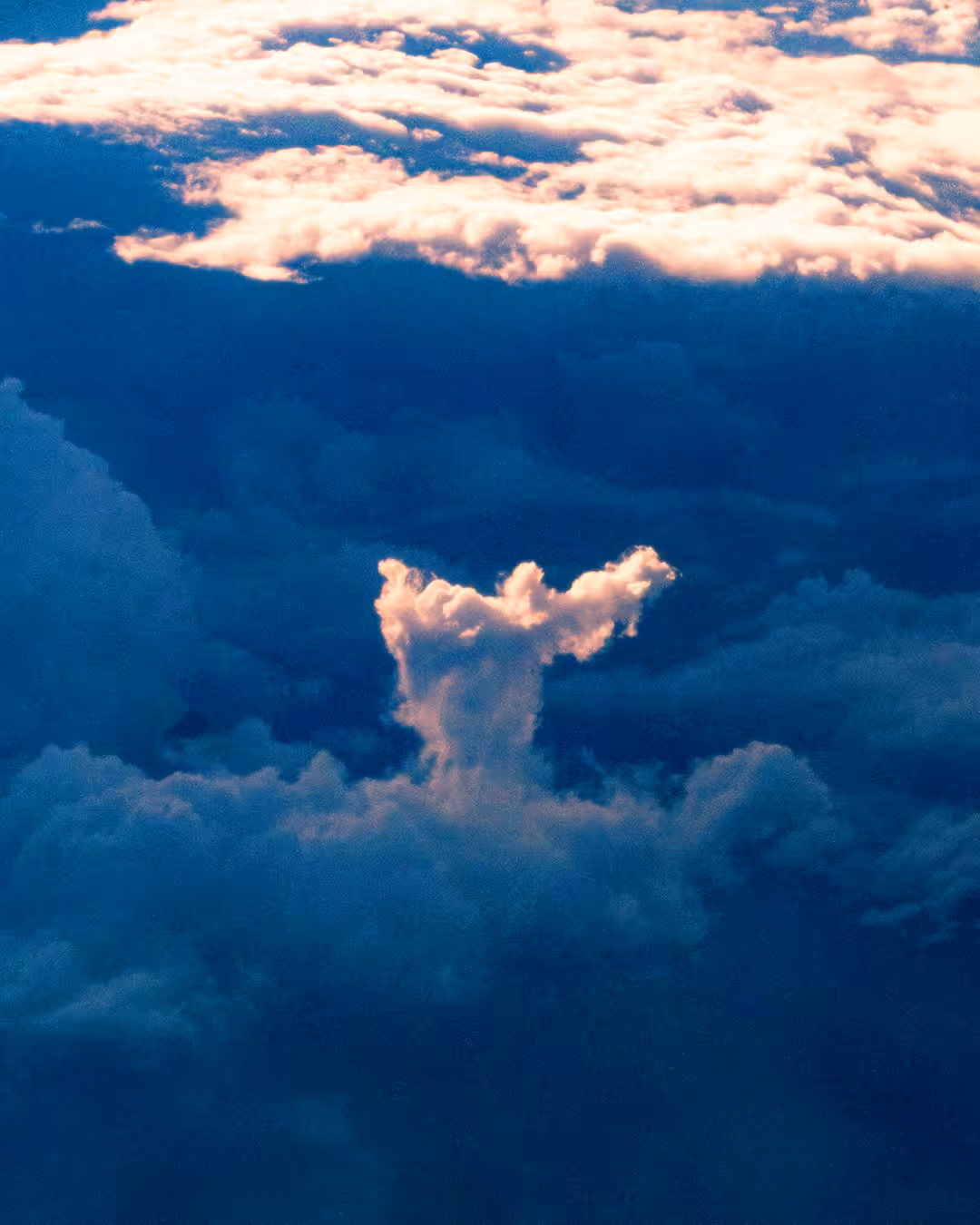 Angel on my Flight