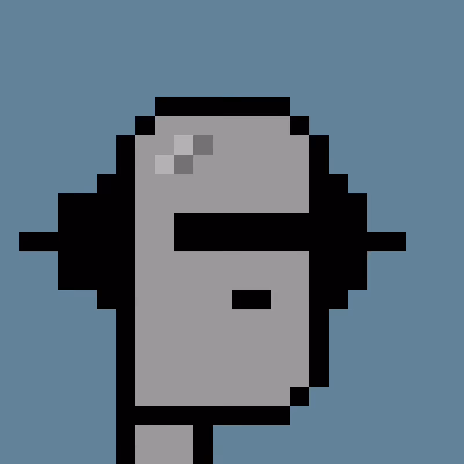RoboPunks2048: RoboPunks 2048 #1646