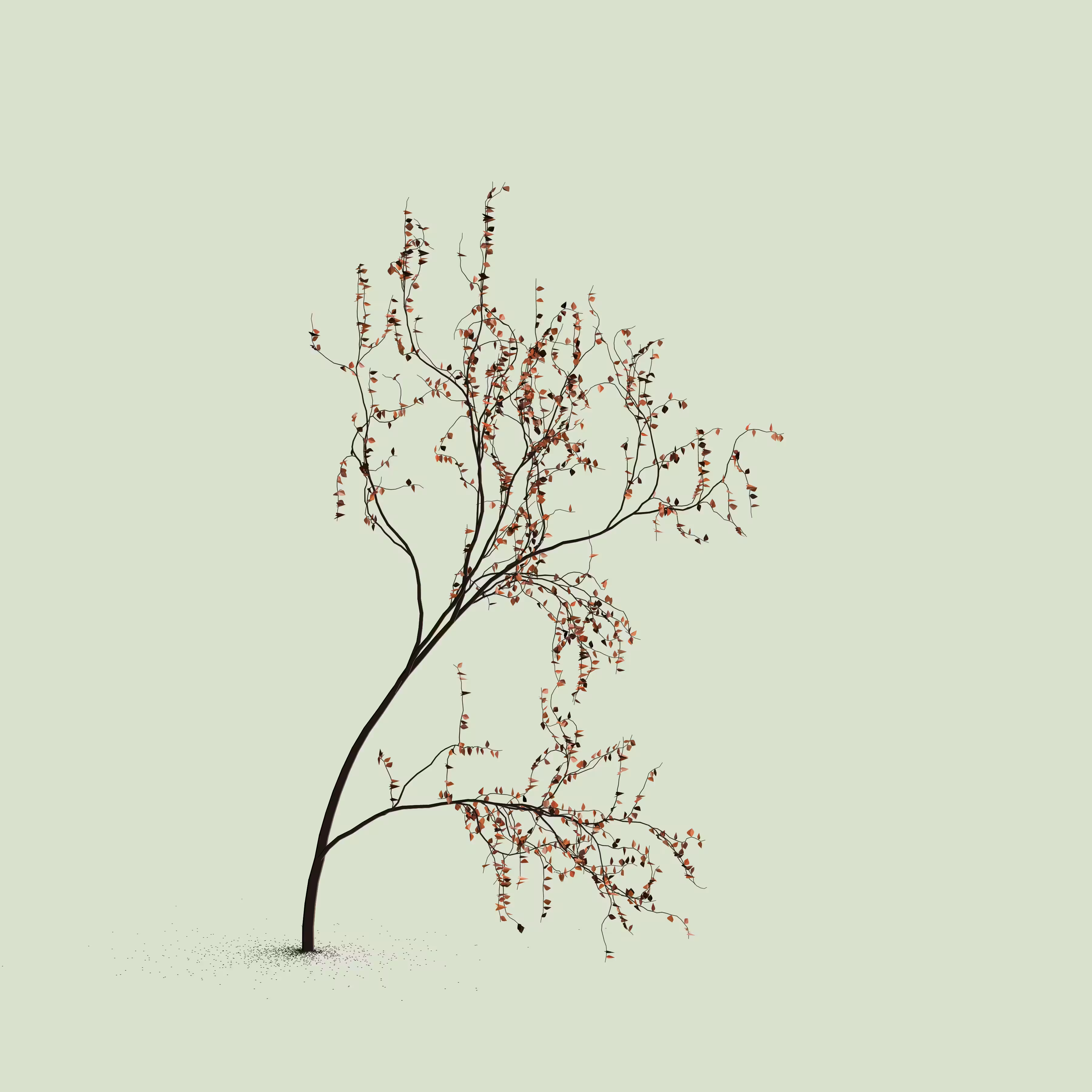 Little Trees #221