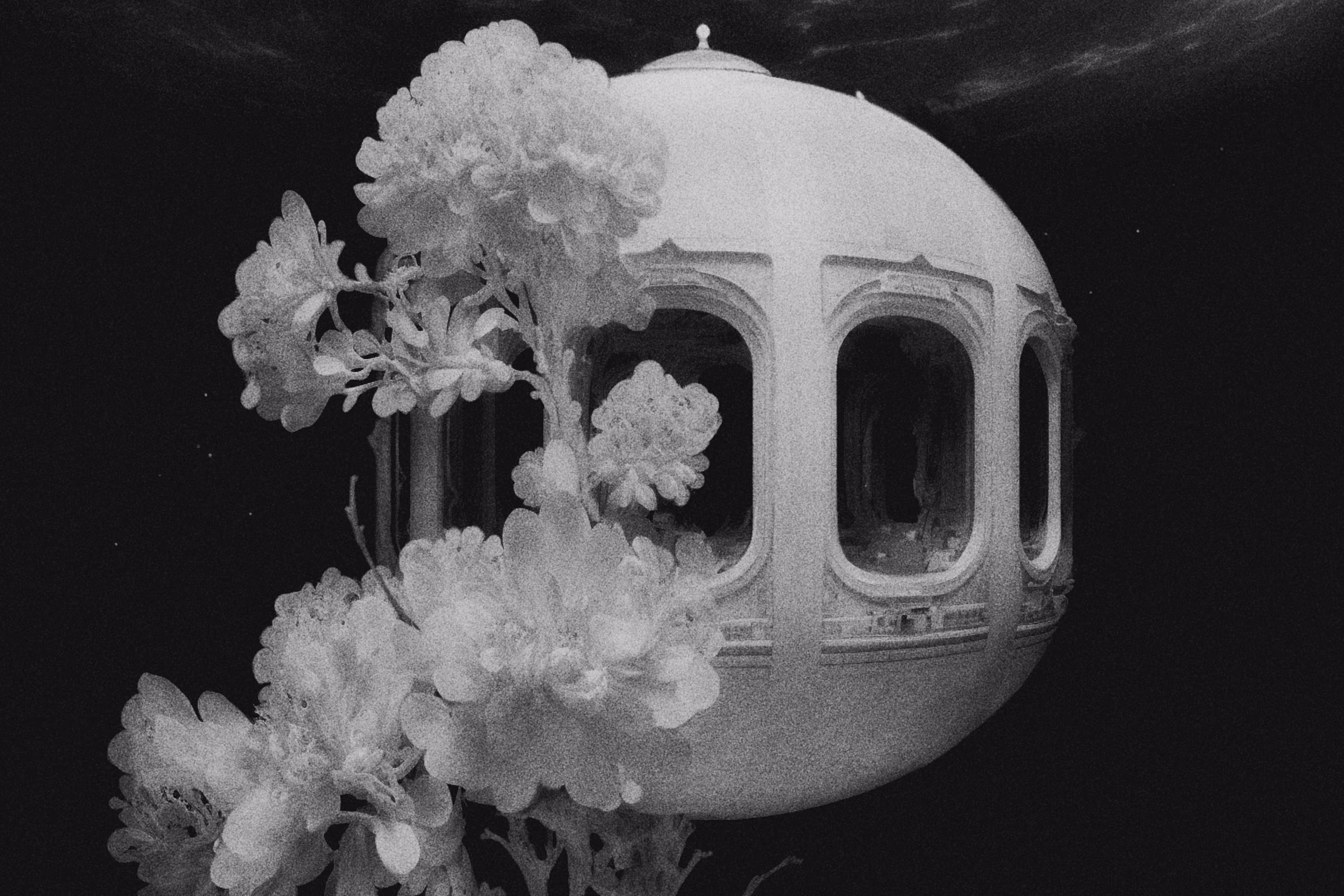 The Celestial House