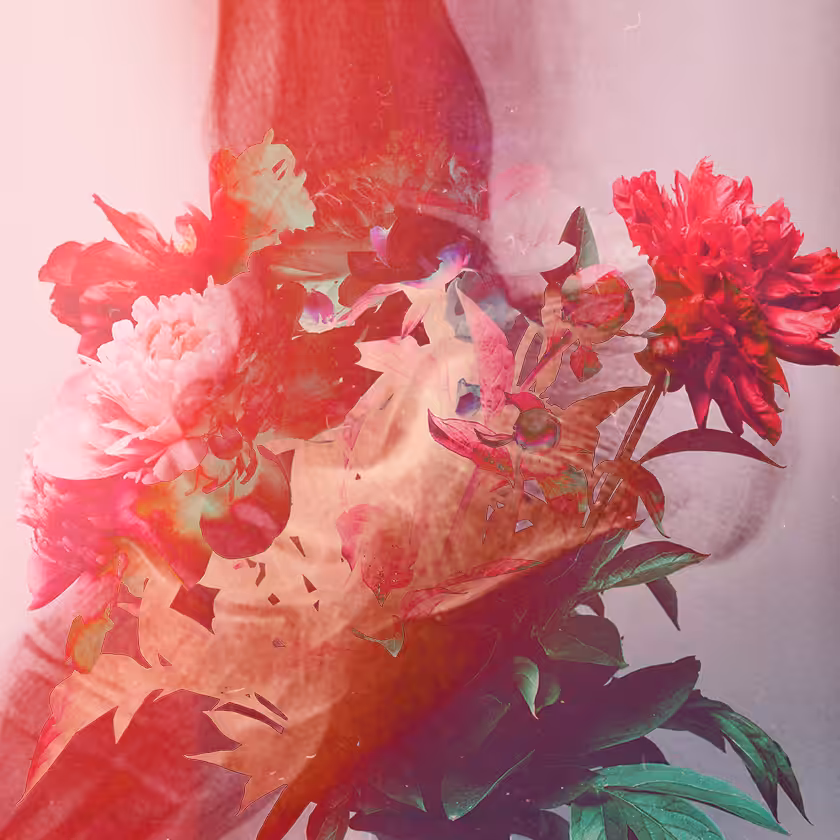 flowers and death #8