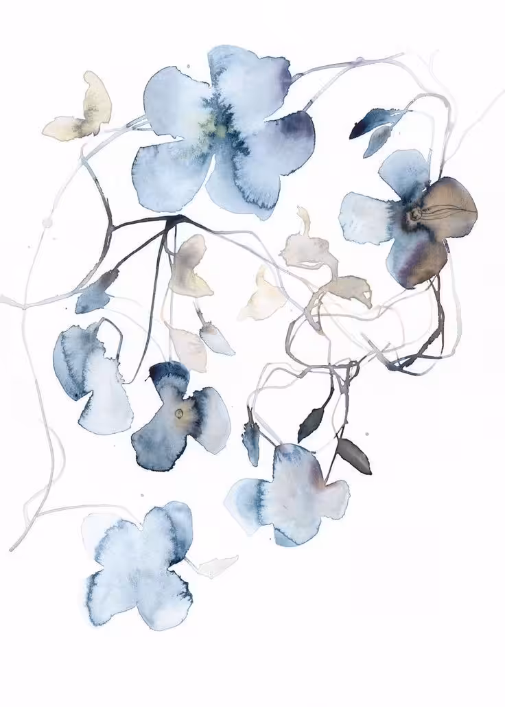 Flower explosion 23