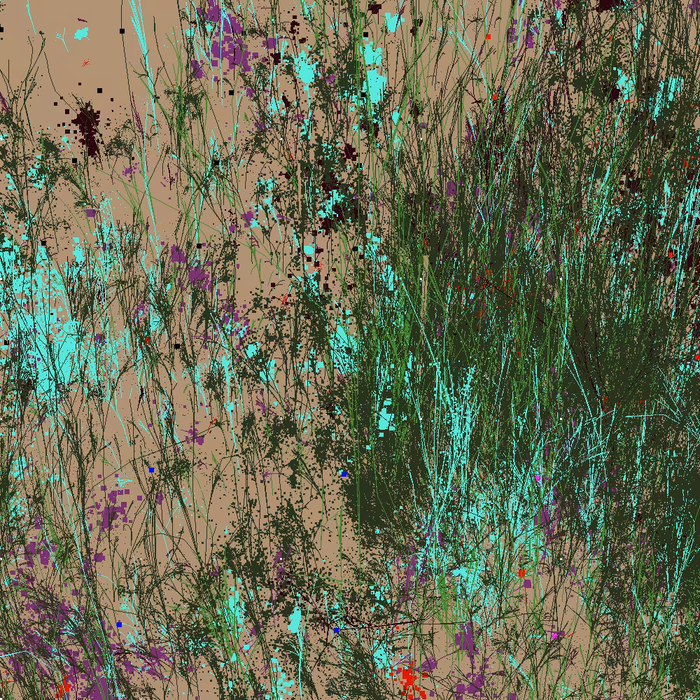 Infinite Garden: 36429 Flowers