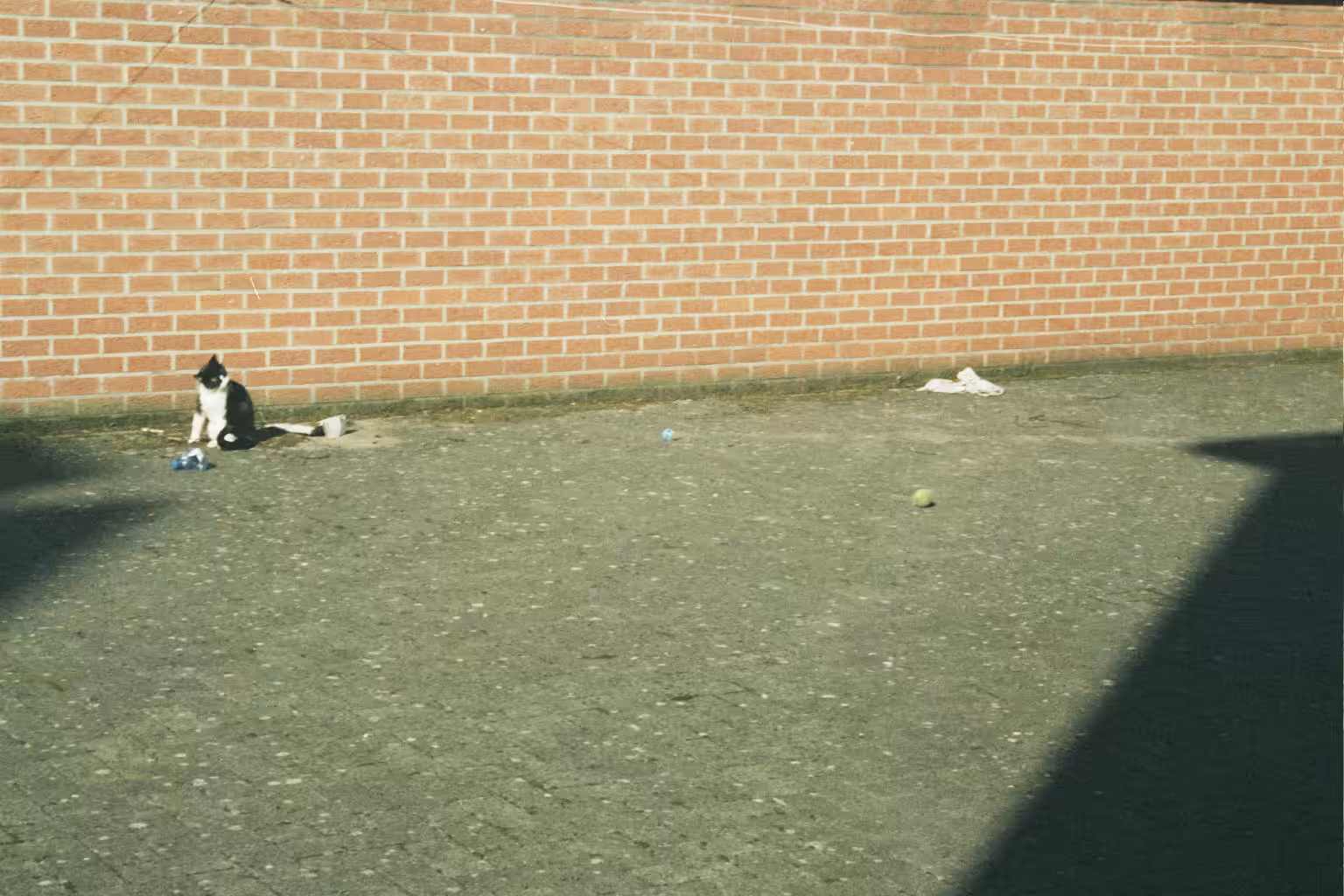Gizmo against the wall