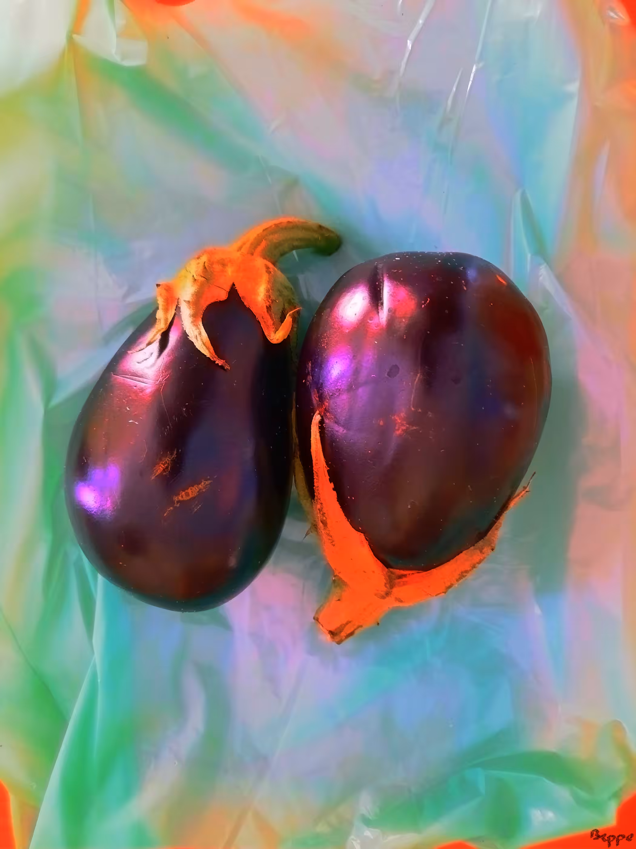 Aubergine