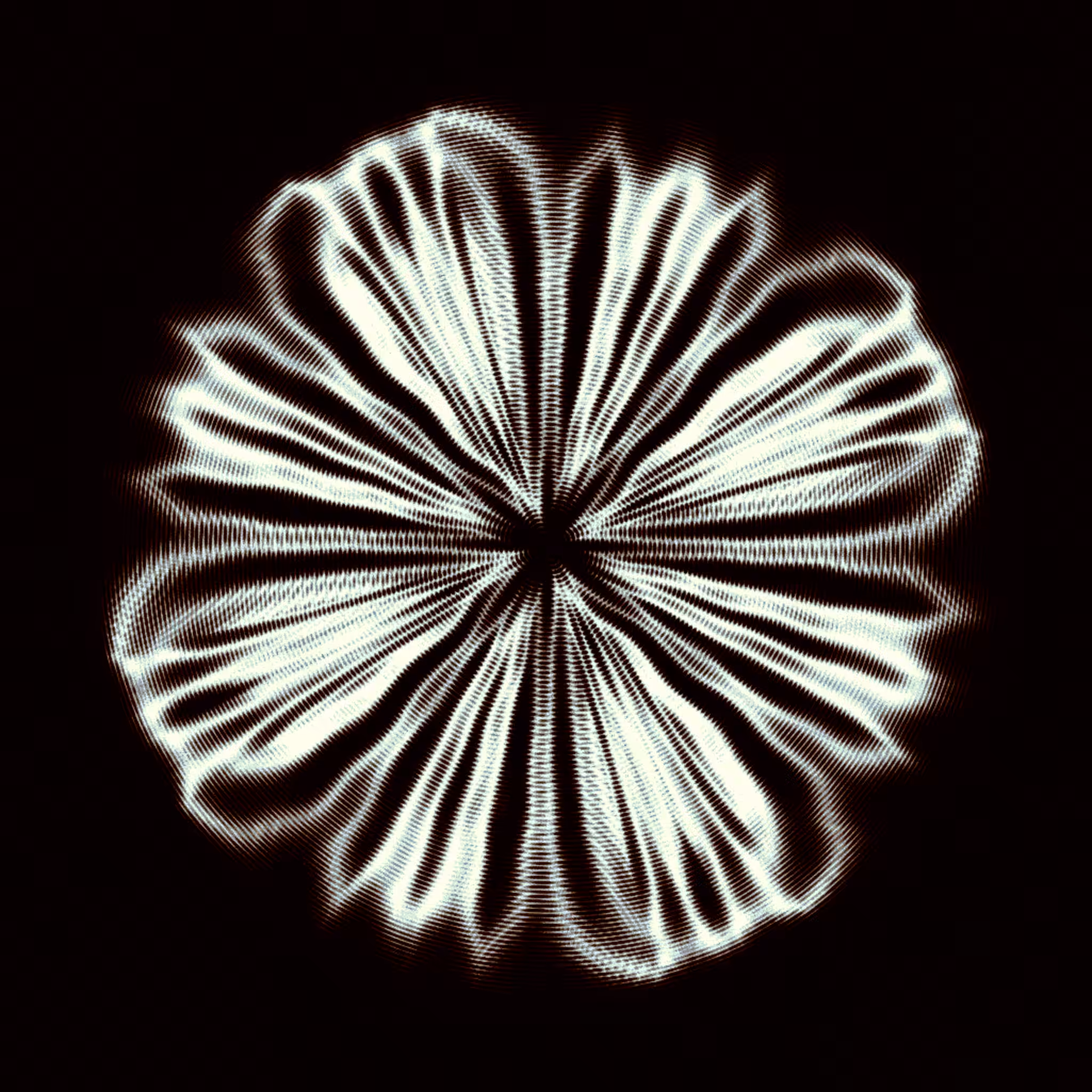 bloom