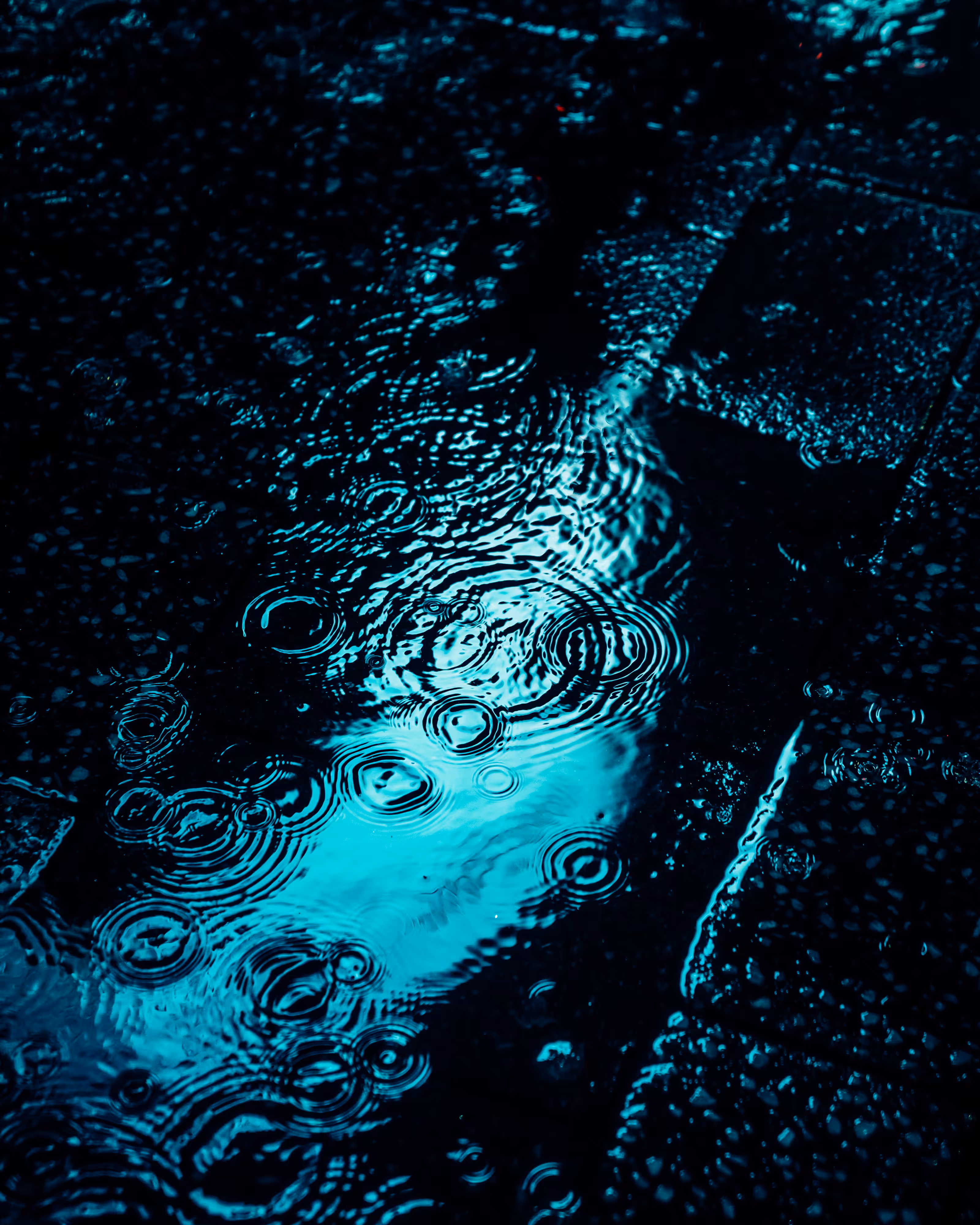 DRIP DROP: DRIP #494