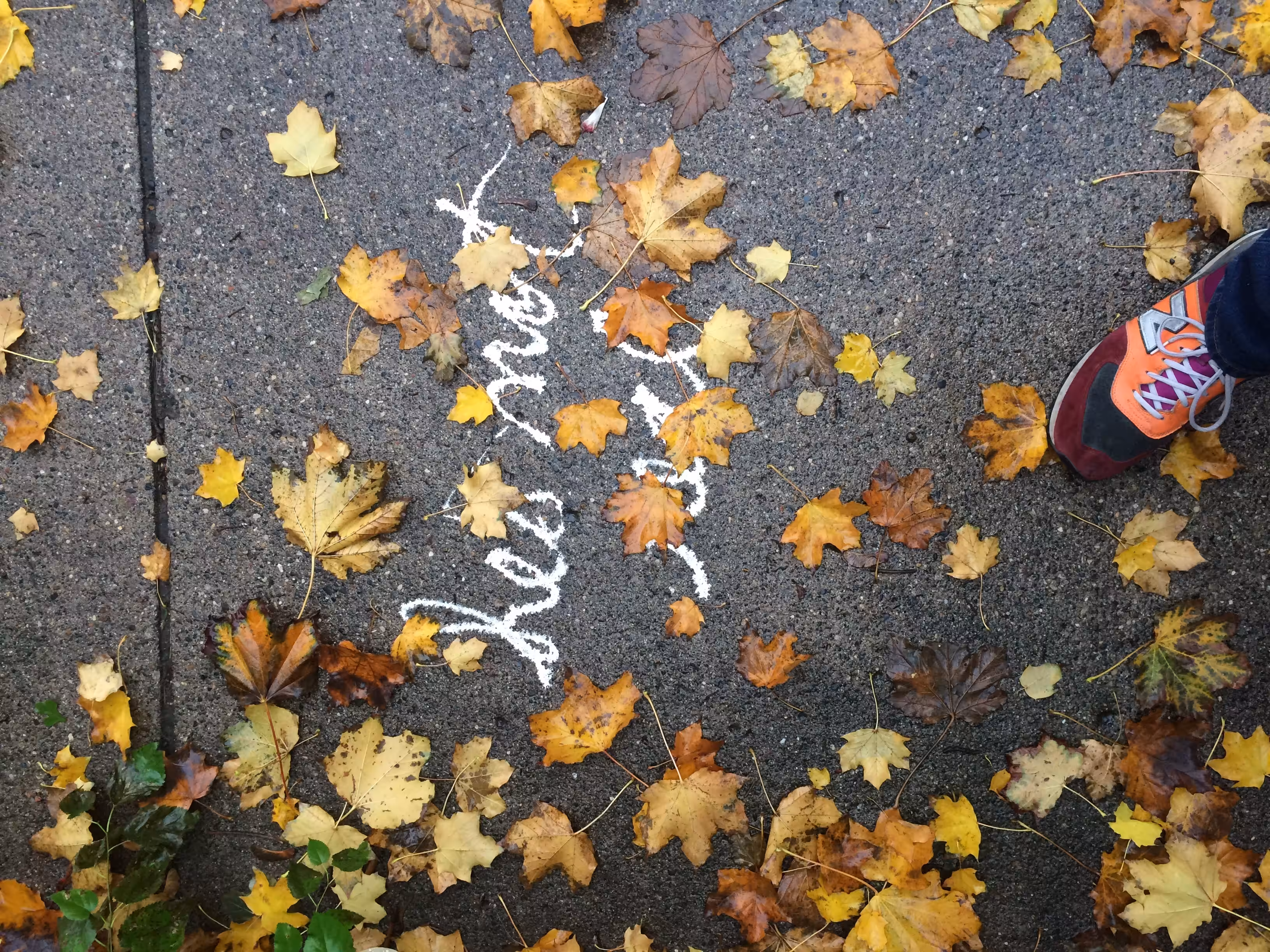 Sidewalk Wisdom #1