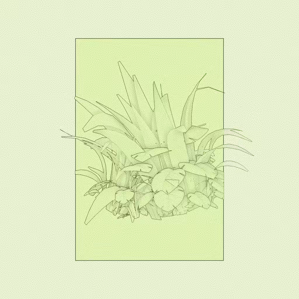 Botany #253