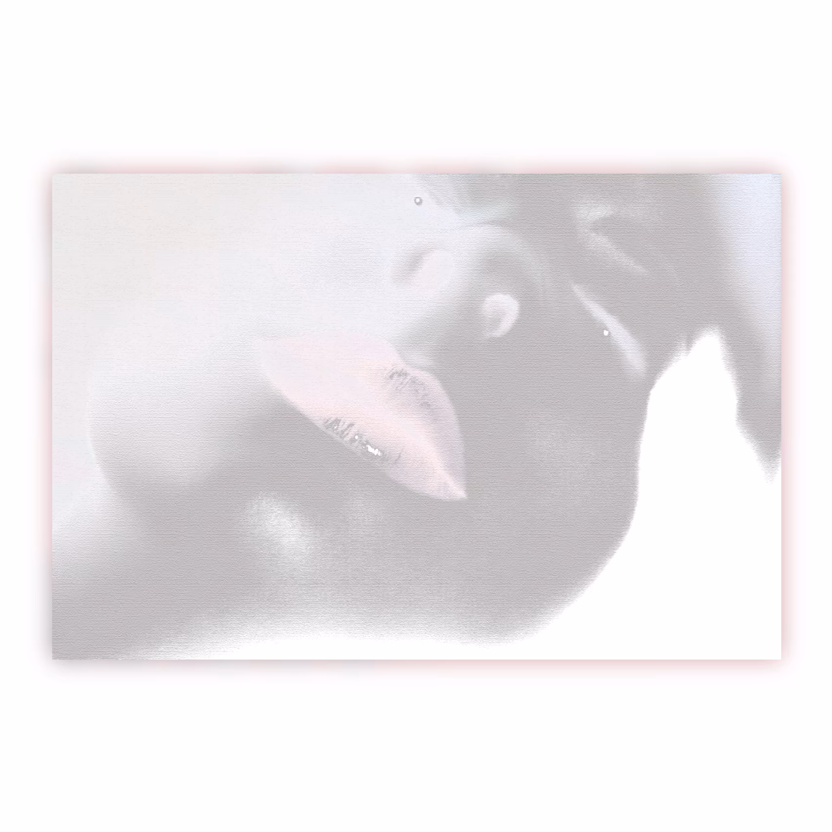 Untitled 9