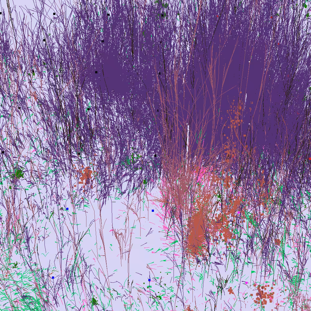 Infinite Garden: 68578 Flowers