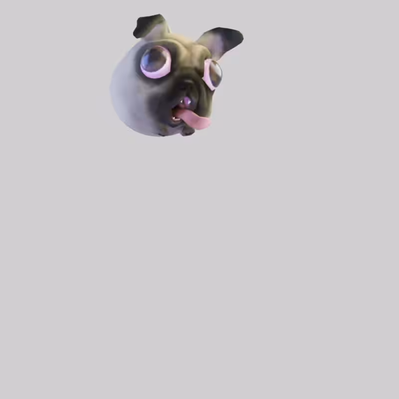 Pug hit